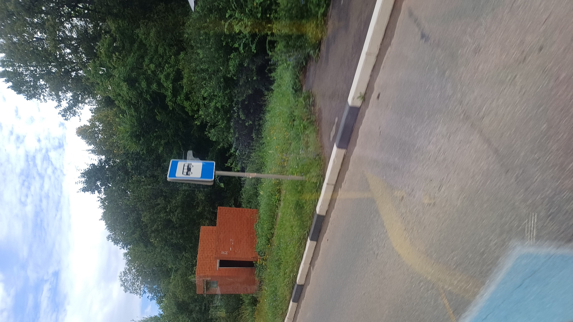 The image captures a scene in Sarapul, Russia, featuring a bus stop with a blue and white sign displaying a bus icon. To the left of the bus stop is a small, detached brick structure with an open doorway. The bus stop is situated on a grassy area next to a paved road with a white and grey curb. Dense green trees form a backdrop behind the bus stop and the brick structure. The sky above is partly cloudy. The perspective suggests the image was taken from a moving vehicle, as evidenced by the motion blur on the road surface.
