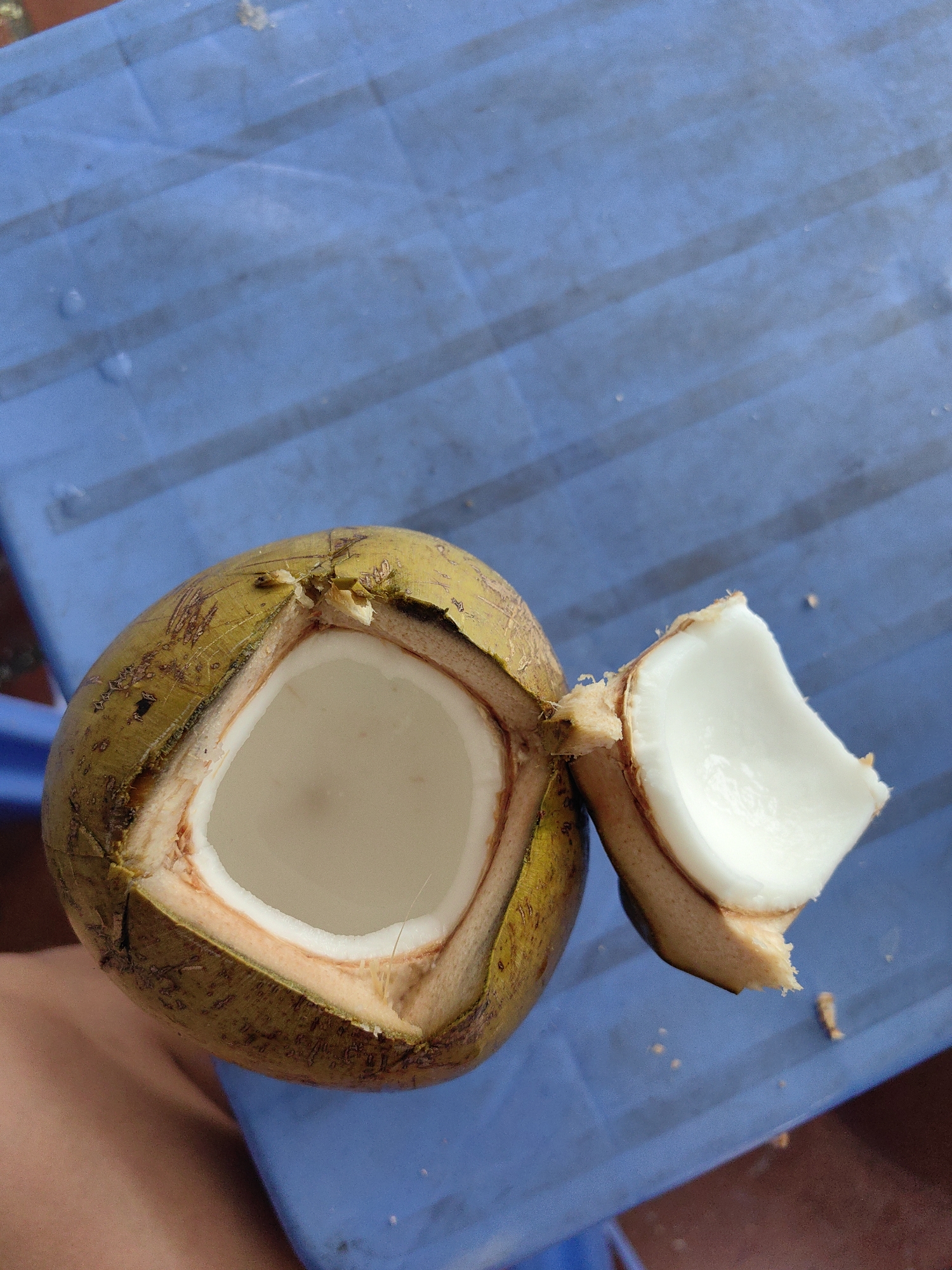 The image shows a cut open coconut on a blue plastic surface, likely a chair. The coconut has a square opening cut into it, and a section has been removed and sits adjacent to the coconut. The interior of the coconut is visible and appears to be filled with coconut water. The exterior of the coconut is green-yellow in color. It is likely that this photo was taken in Cao Xanh Ward, Vietnam.