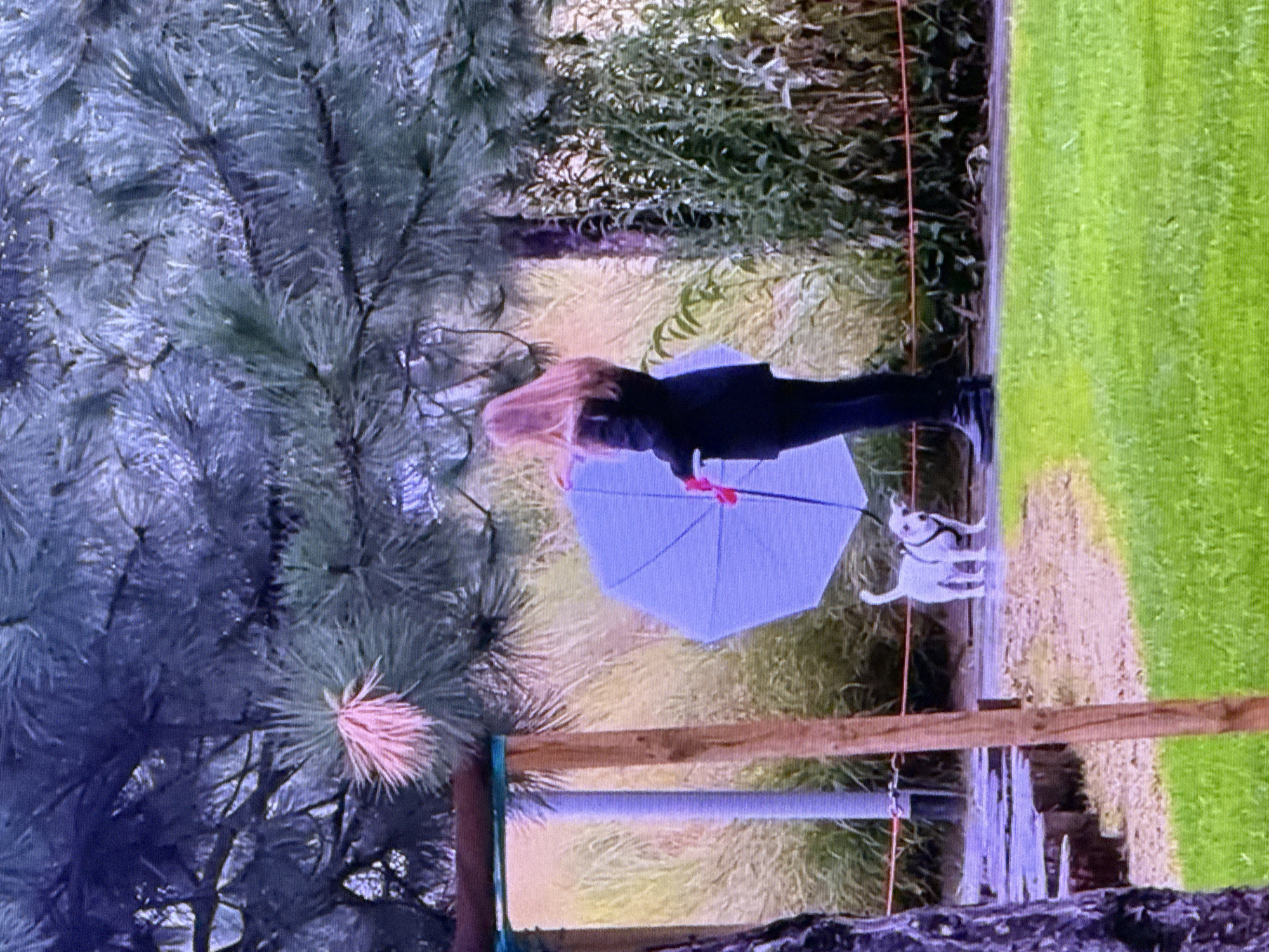 A woman with long blonde hair is holding a light blue umbrella. She is wearing a black jacket and black pants. A small white dog with a black collar is standing next to her. They are on a path next to a grassy area. In the background, there are tall grasses and trees. The scene appears to be outdoors. The location is not identifiable as Dubai, United Arab Emirates from the visual information provided.