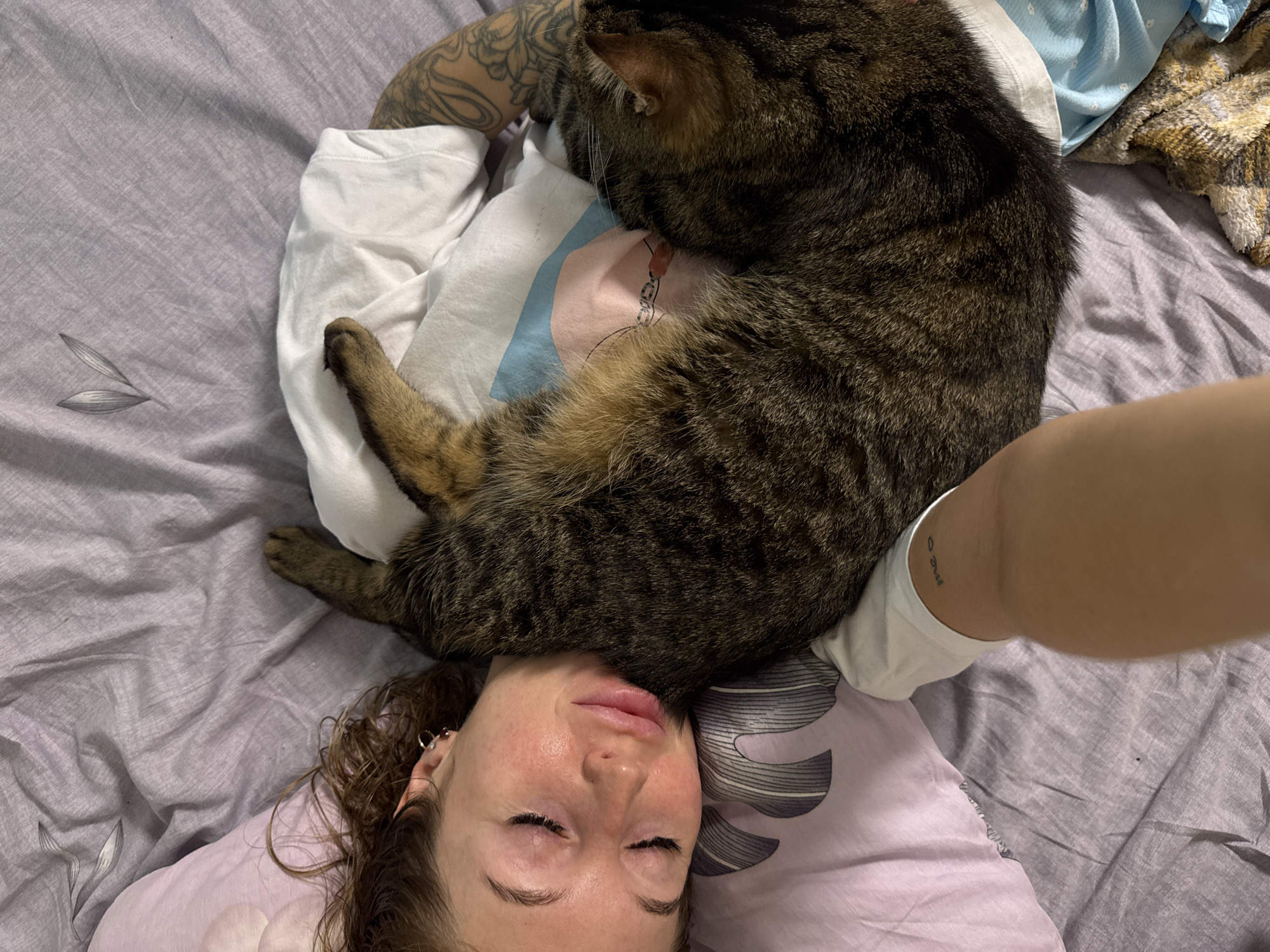A top-down, eye-level shot shows a woman lying on a bed covered with a gray sheet, with a tabby cat lying on top of her. The woman has closed eyes and light skin, and the cat lies mostly on her head. The location is indiscernible from the image. The presence of a tattoo on the woman's arm is noted.