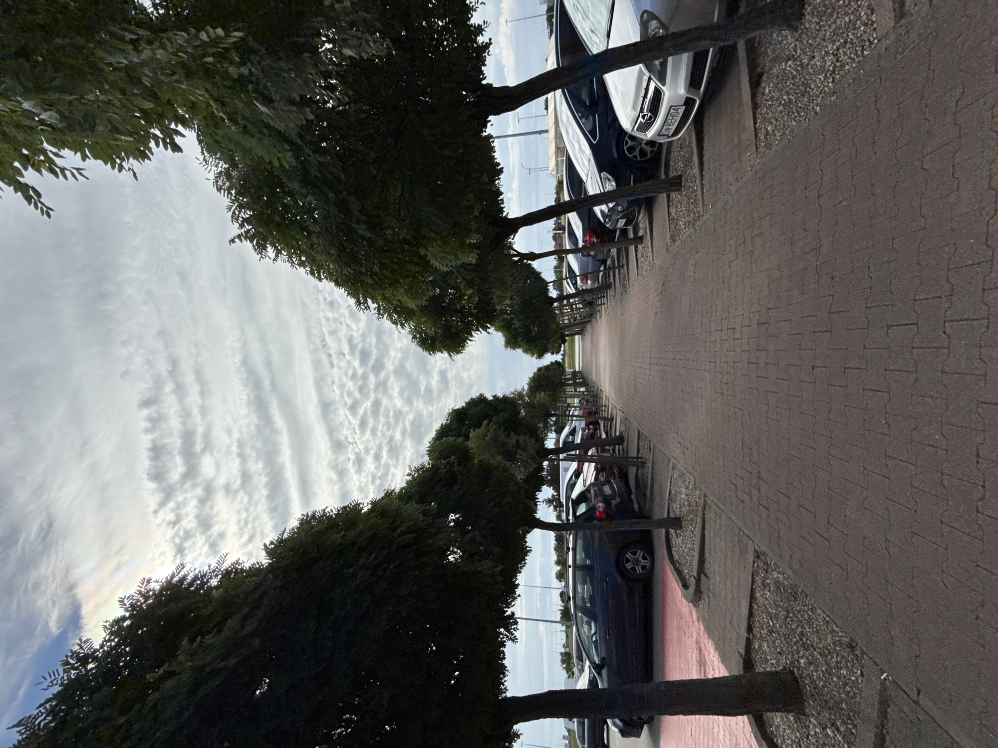 The image depicts a view down a tree-lined pedestrian walkway in a parking lot. The walkway is paved with reddish-brown interlocking bricks and is flanked by rows of parked cars on either side. Tall, slender trees with dense green foliage are planted at regular intervals along the walkway, casting shadows on the ground. The cars parked on the left are mostly dark-colored, with one visible red car. On the right, several cars are visible, including a silver Opel with license plate "CW 8EH04". The sky above is cloudy with a pattern of textured clouds and a faint rainbow visible in the upper left corner. In the background, beyond the parking lot, there are hints of open space and possibly some buildings or infrastructure. The overall impression is of a well-maintained, functional outdoor space, likely a commercial or public parking area. The image was taken in Bielany Wrocławskie, Poland.