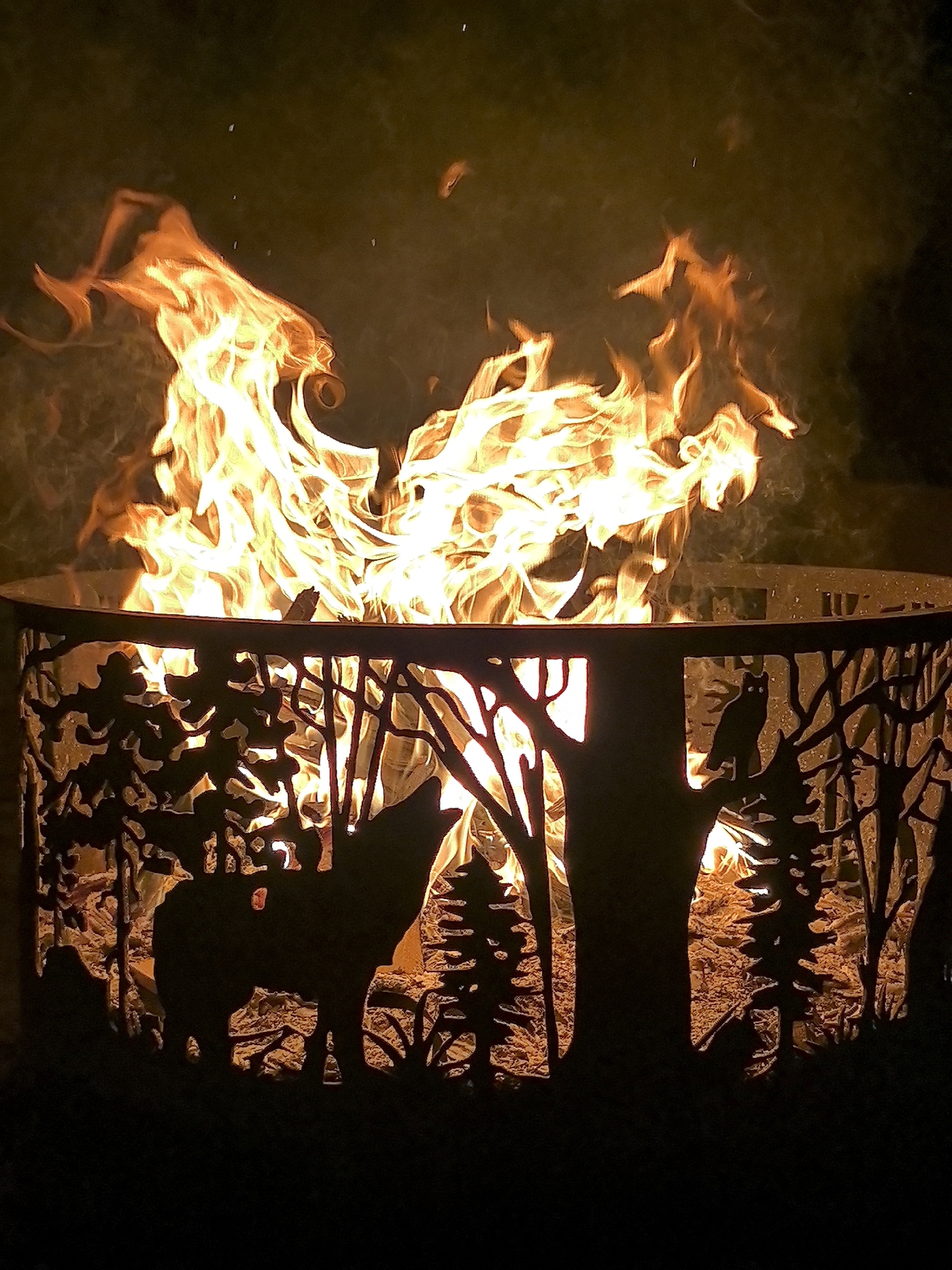 A fire pit with a decorative metal surround featuring a silhouette of a wolf and trees is ablaze at night. The flames are bright orange and yellow, casting light through the cutouts in the metal. The surround appears to be made of dark metal and is cylindrical. In the background, the scene is dark, suggesting it is outdoors. The image does not contain any information about the city of Taldykorgan, Kazakhstan.