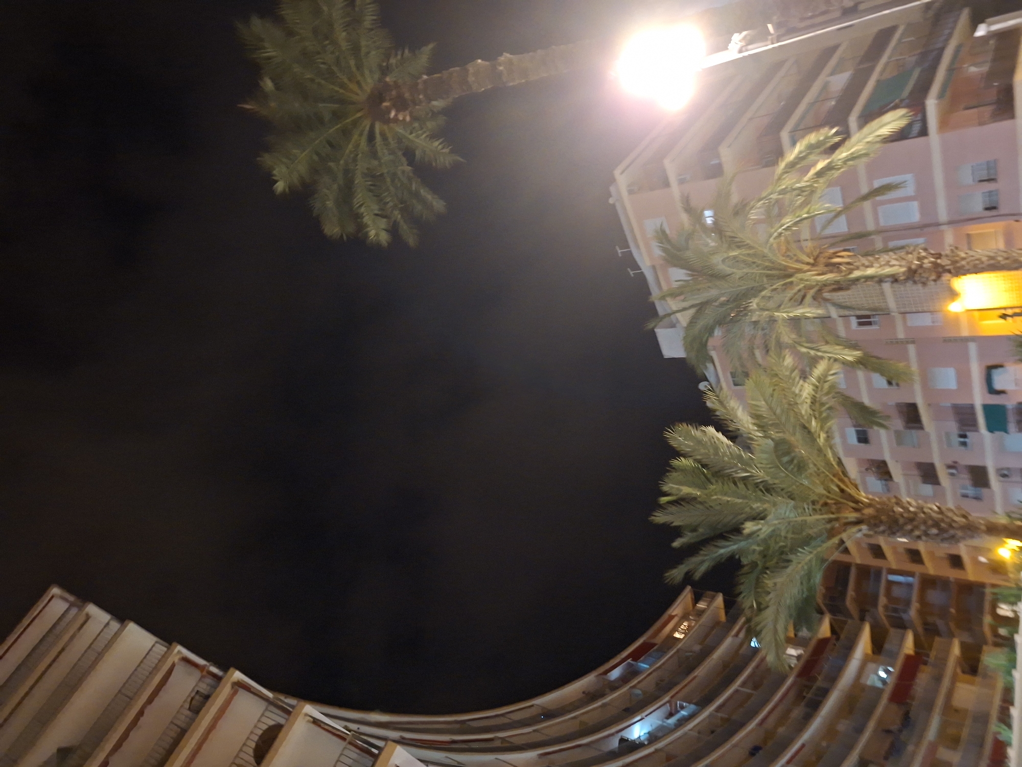 An exterior, low-angle, nighttime photograph taken in Torrevieja, Spain, captures a crescent-shaped building on the left and a modern, multi-story building on the right, with two palm trees in the foreground and another in the background. The building on the left has multiple balconies and a curved facade. The building on the right is lighter in color, with balconies and windows visible. A bright street lamp illuminates the right side of the image. The sky is dark with some cloudy textures.