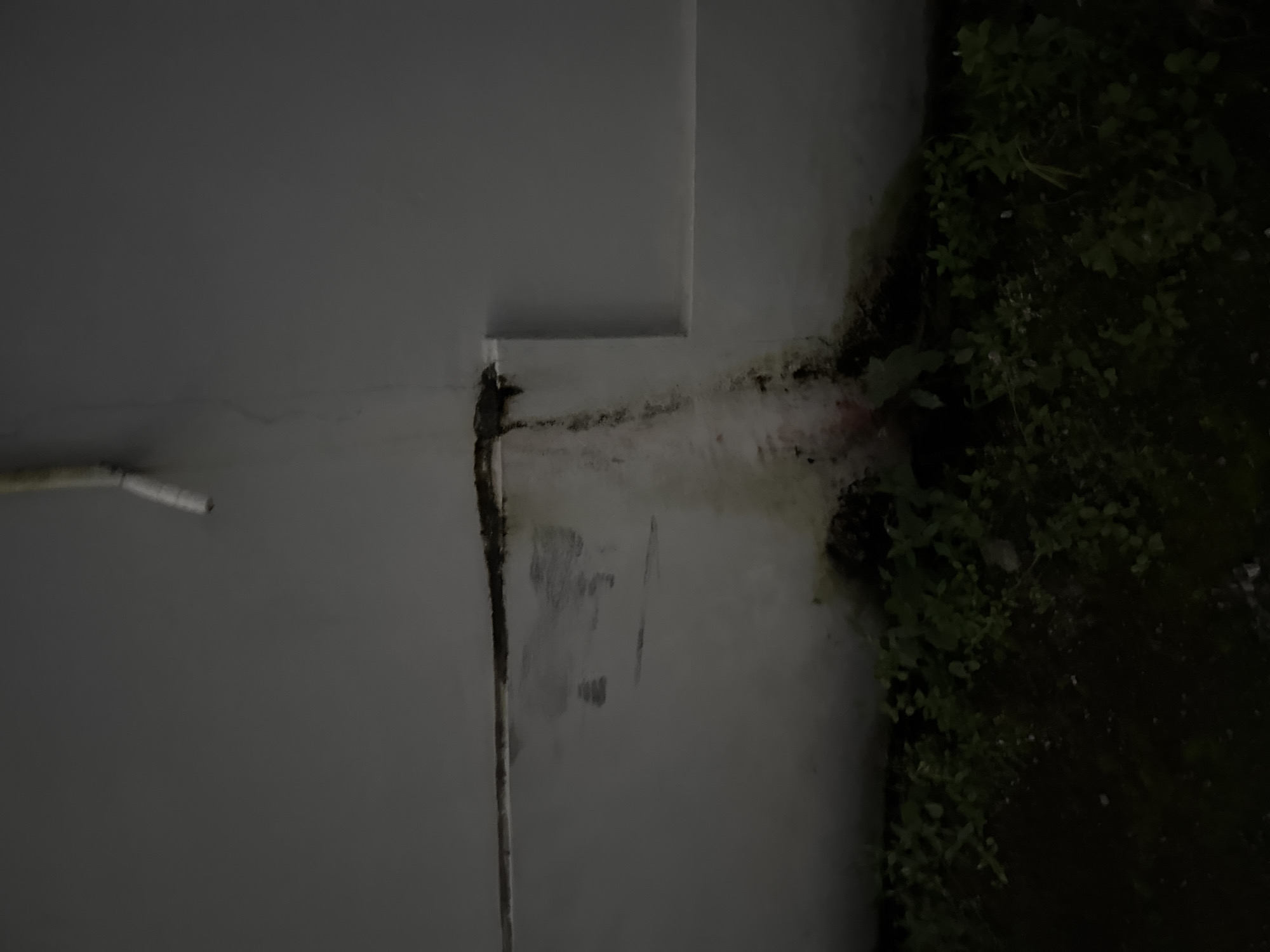 A close-up, eye-level shot focuses on a stained, weathered wall of a building, possibly in Sukawati, Indonesia, under overcast lighting. The wall is painted a neutral, light color, but significant water damage is evident. A dark, streaky stain runs vertically down the wall, originating from a pipe extending from the top of the frame. The stain appears to be a mix of dirt, algae, and possibly mildew, with some reddish discoloration near the bottom. The bottom edge of the wall meets a dark, overgrown area of vegetation, suggesting it is near ground level or a garden. A horizontal ledge or architectural feature extends from the wall to the right. The overall impression is one of neglect and environmental exposure.
