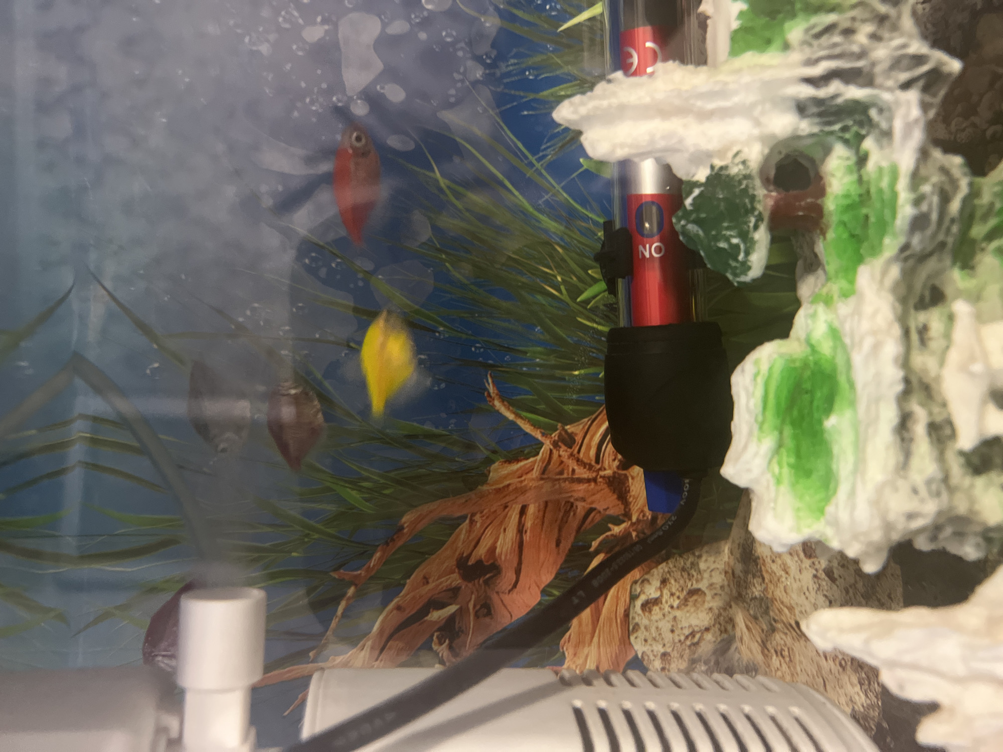 The image shows an aquarium with several fish, a heater, and various decorations. A white filter is visible on the left side of the frame, with a black cord extending from it and into the water. A piece of driftwood is positioned centrally, with several long, green plants behind it. Three fish are visible in the water: a yellow one in motion, a red one swimming to the right, and a dark-colored one further back and to the left. A red heater is submerged in the water, with a black suction cup attached to it. In the foreground, there are decorative elements resembling rocks and a small green tree with a dark opening. The background of the aquarium appears to be a blue scene with some white cloudy effects. The scene is indoors, as indicated by the lighting and the presence of the aquarium.