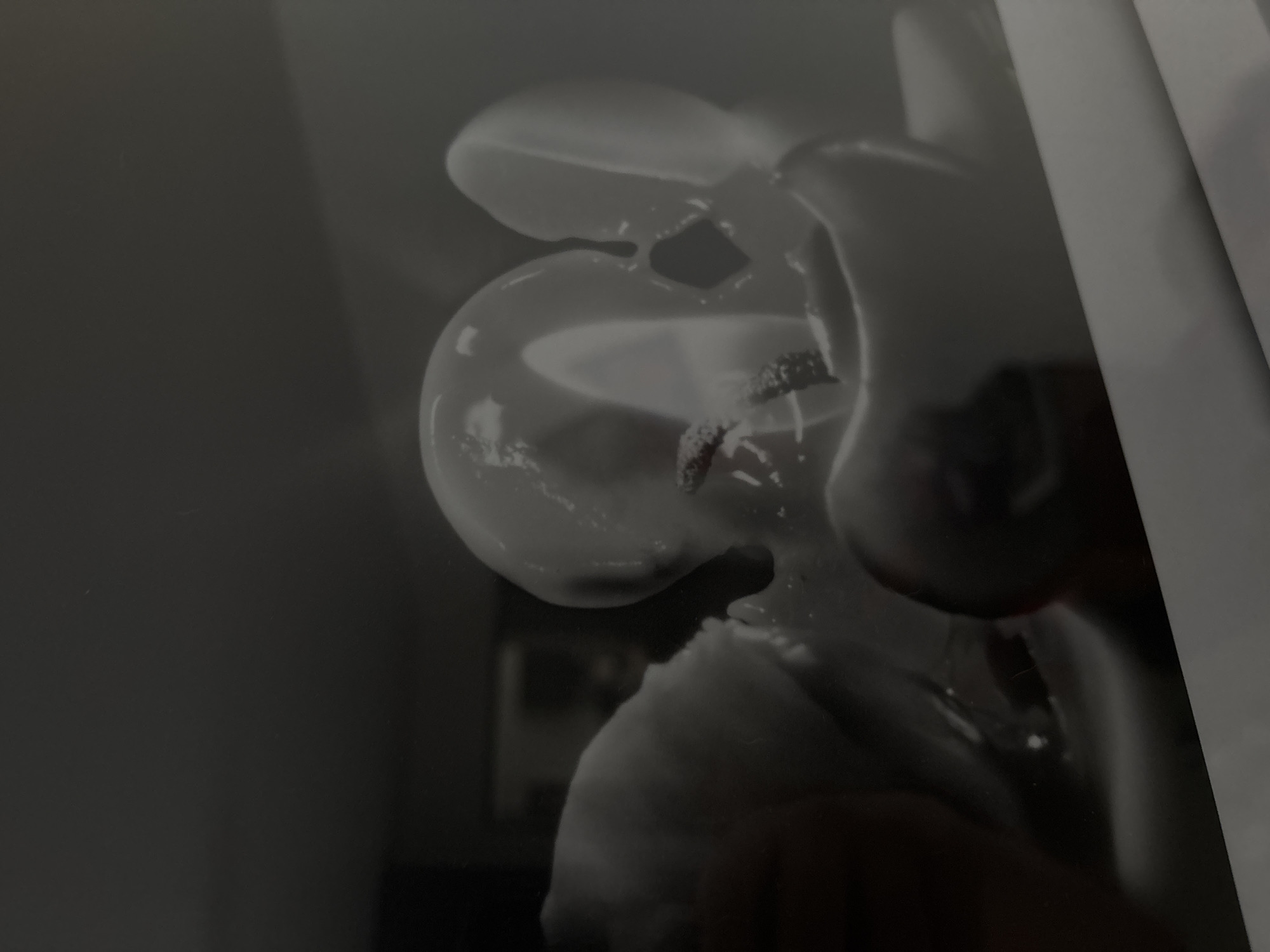 The image depicts a close-up, black-and-white rendering of what appears to be a partially formed or deconstructed flower, potentially an orchid, with bulbous, translucent petals and visible botanical structures. The background is a blurred and undefined dark space, possibly the interior of a studio or exhibition area. No people are visible in the scene. The style of the image suggests a focus on form and texture. There is no information in the image to verify a location in Mexico City, Mexico.