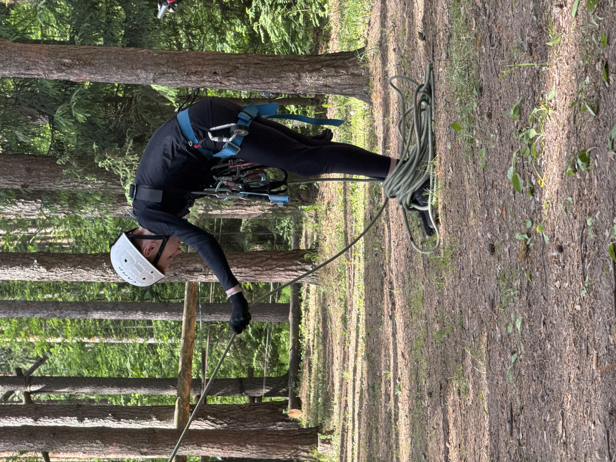 This media file captures a person engaged in an outdoor rope activity, likely tree climbing or an adventure park challenge, set within a forest in Chaikovsky, Russia.
The central subject is a person, appearing young, wearing full safety gear. This includes a white hard-shell helmet with the word "CAMP" visible on its side, a black long-sleeved top, black trousers, and a blue climbing harness. Attached to the harness are multiple carabiners and other climbing equipment. The person is focused on a greenish-grey rope, which they hold with a gloved hand, while another section of the rope is neatly coiled on the forest floor near their feet. Their posture suggests concentration, possibly managing the rope for belaying or preparing for a climb/descent.
The setting is a sunlit pine forest, characterized by numerous tall, straight tree trunks that dominate the background. The ground is covered with natural forest debris, including dirt, pine needles, and sparse patches of green vegetation. The presence of dappled sunlight and shadows indicates it is daytime, likely mid-morning or afternoon, under clear weather conditions. The overall atmosphere is one of focused activity in a natural, rugged environment.