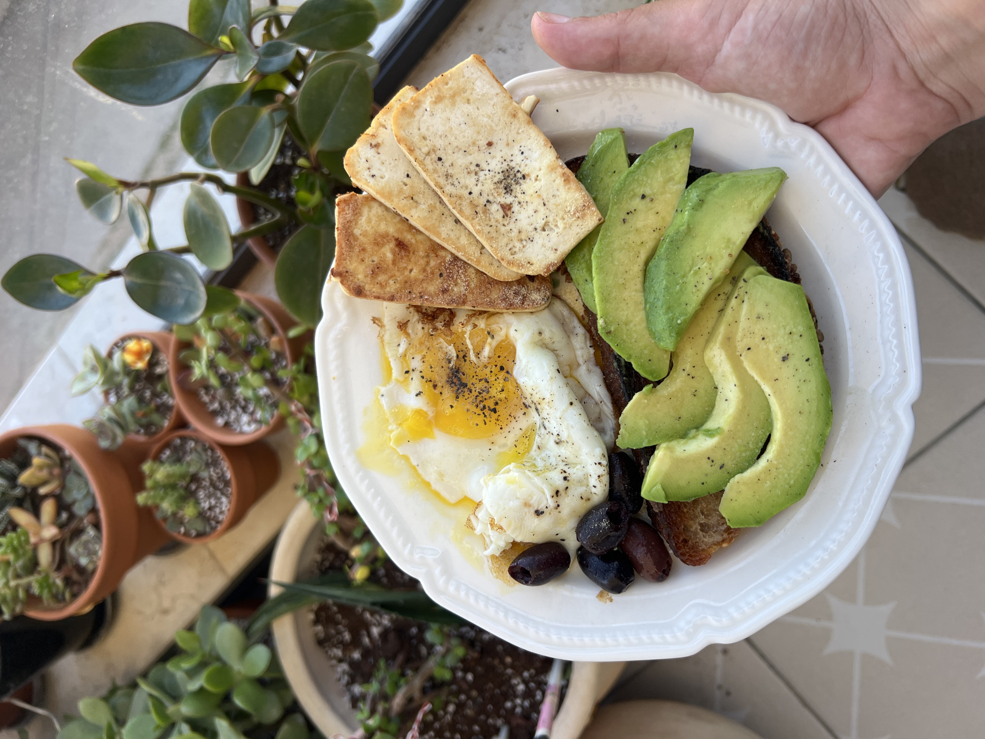 An overhead shot captures an adult's hand holding a white plate brimming with a fresh meal. The plate, which has a decorative scalloped edge, is filled with a sunny-side-up fried egg, seasoned generously with black pepper. Adjacent to the egg are several slices of ripe avocado, also lightly seasoned with pepper, and a small cluster of black olives. Completing the meal are a few pieces of toasted bread and three rectangular slices of pan-fried tofu or paneer, similarly seasoned with black pepper.
The hand, holding the plate from the top right, suggests the meal is being presented or is ready to be eaten. The background reveals an outdoor setting, likely a balcony or patio in Kiryat Bialik, Israel. An assortment of potted plants is visible, including a prominent plant with broad green leaves and several smaller succulents nestled in terracotta pots. Bright, natural daylight illuminates the scene, indicating it is daytime, probably morning or early afternoon. The overall impression is a healthy and appealing breakfast or brunch served in a pleasant, leafy outdoor environment. No visible text appears in the image.