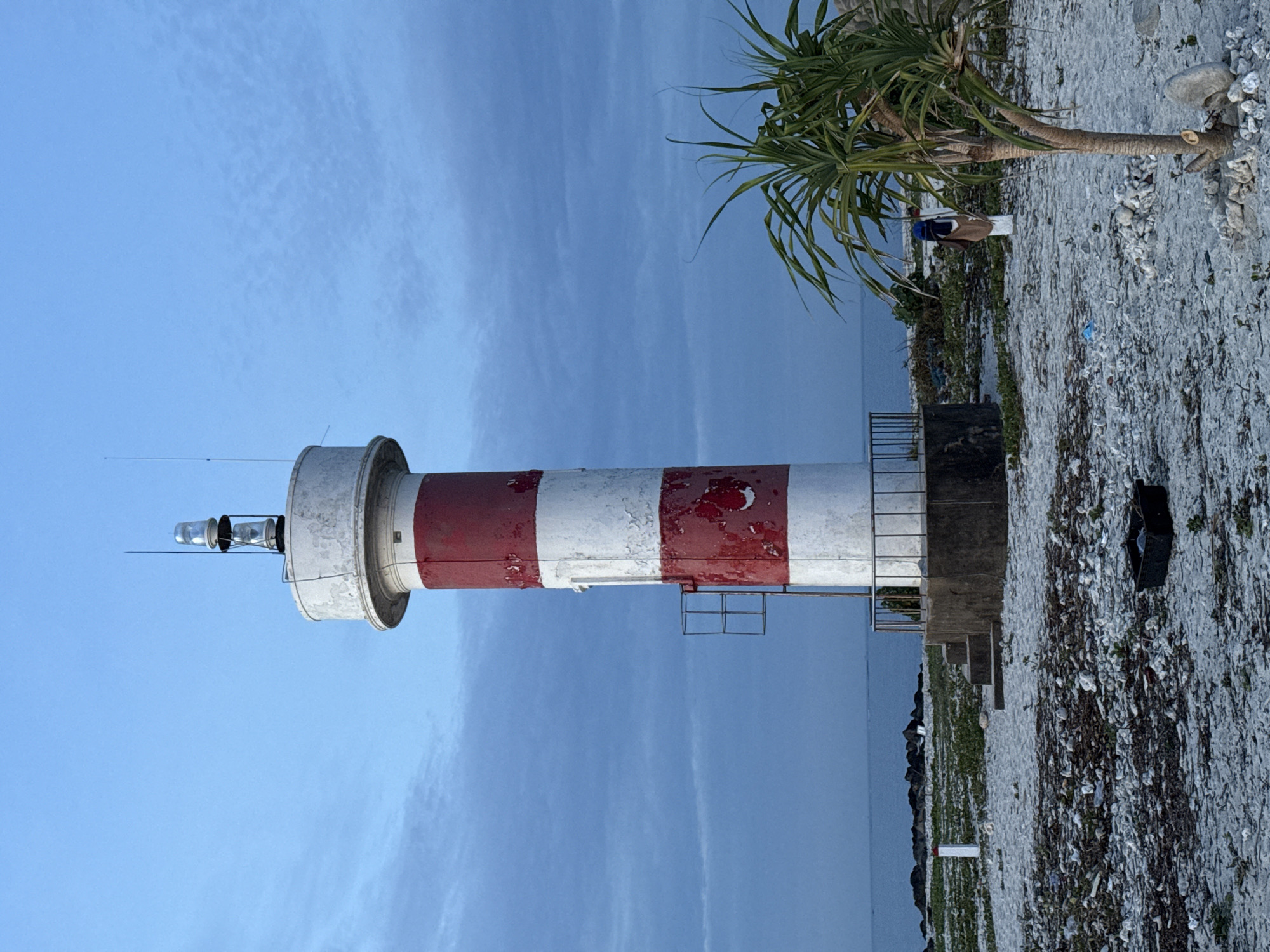 A weathered, red and white striped lighthouse stands on a sandy, debris-strewn beach in Lý Sơn, Vietnam. The lighthouse is cylindrical with a white lantern room at the top, housing two clear glass lamps and topped by a thin antenna. A metal ladder is attached to the side of the lighthouse. The base of the lighthouse rests on a concrete platform with steps leading up to it, surrounded by a low metal railing.
The beach is covered in a mix of sand, small stones, dried seaweed, and various pieces of litter, including plastic bags and a black plastic container in the foreground. To the right of the lighthouse, a young palm tree with sparse fronds grows amongst the rocks and sand. In the background, the calm, blue sea stretches to the horizon under a pale blue sky with wispy clouds. A line of dark rocks is visible in the shallow water offshore. A white marker post with some clothing draped over it stands near the palm tree. The overall impression is of a remote, somewhat neglected coastal area.