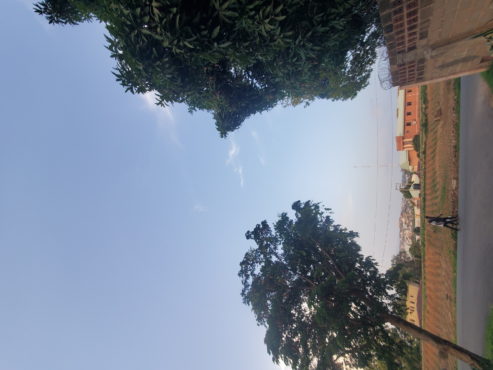 The image depicts an outdoor scene in Jos, Nigeria, under a clear, pale blue sky with a few wispy clouds. In the foreground, a paved road runs diagonally across the bottom of the frame, with a grassy verge. Two men are walking side-by-side on the road, one wearing a dark shirt and the other a lighter shirt. To the left of the road, a large tree with dark green foliage leans towards the pavement.
Further back, a contoured embankment separates the road from a field of dry earth. Beyond the embankment, a cluster of buildings can be seen, including a prominent orange brick structure with a light green roof, and other residential or commercial buildings in varying states of completion. A tall telecommunications tower is visible in the distance. To the right of the image, a brick wall with barbed wire fencing runs along the edge of the property. Lush green trees frame the right side of the scene. The overall impression is a semi-urban landscape during daylight, possibly late afternoon given the lighting.