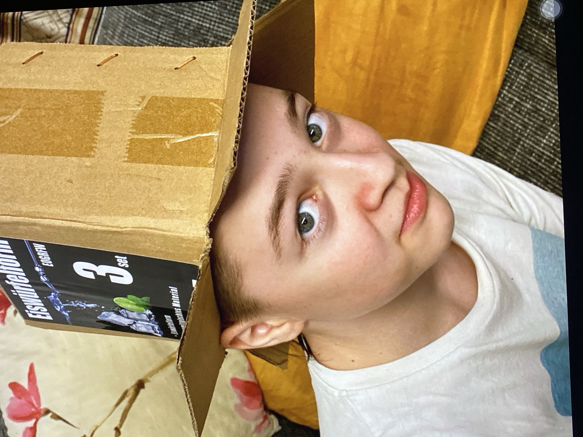 A young person wears a makeshift hat crafted from a cardboard box that has been cut and folded. The box has printed text and images on it, including the words "EISWÜRFELFORM" and the number "3". The hat has a wide brim made of corrugated cardboard. The person has light skin, light brown hair, and green eyes. They are wearing a white t-shirt. The background appears to be indoors, with a floral patterned fabric visible to the left and a yellow fabric to the right. There is no indication of the city of Purkersdorf, Austria within the image.