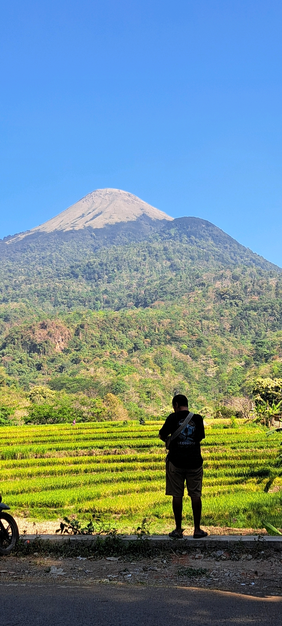 An outdoor vertical shot captures a serene landscape dominated by a large mountain in the background, under a clear blue sky. In the mid-ground, lush green rice terraces are vividly displayed, indicating agricultural activity. In the foreground, a person stands with their back to the camera, facing the mountain and terraces. The individual is wearing a dark t-shirt with a graphic and text, khaki shorts, and sneakers, and has a sling bag over their shoulder. To the left, a portion of a motorcycle is visible. The overall setting suggests a rural or natural environment, possibly in or near the city of Sukoreno, Indonesia.