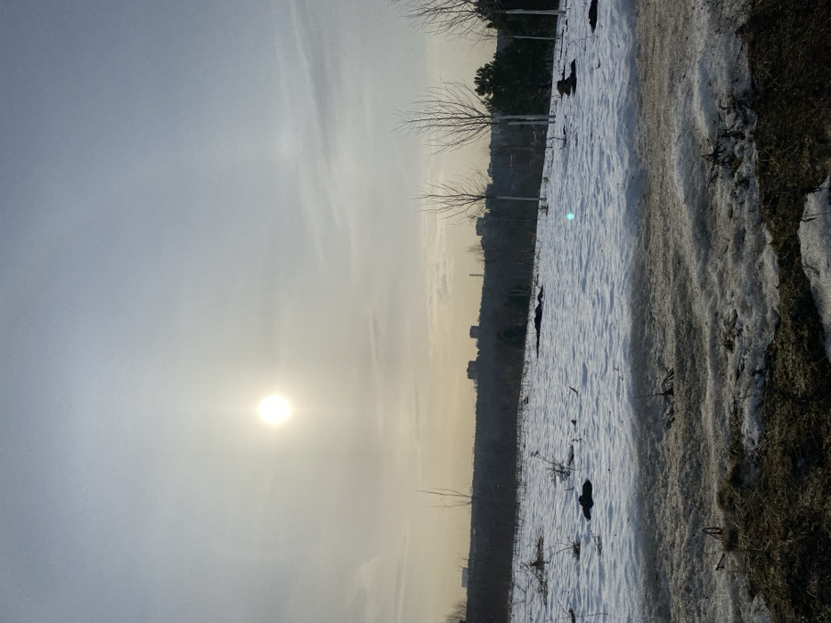 The image captures an outdoor scene in Марфино, Russia, under bright sunlight, indicative of late winter or early spring. The foreground consists of a gently sloping field primarily covered in patchy, melting snow, revealing areas of dark, wet earth and dried vegetation underneath. Several slender, deciduous trees, devoid of leaves, are sparsely distributed across the snowy field, with a more pronounced row visible along the right midground. In the distant background, a dense line of bare trees merges with the silhouettes of multiple multi-story urban buildings, forming a discernible cityscape against the horizon. The sun, a bright, prominent white orb with a visible halo, is positioned in the upper-left quadrant of the frame within a hazy, light grey-blue sky. No individuals, animals, or significant actions are depicted. A small blue-green lens flare is visible in the mid-right field.