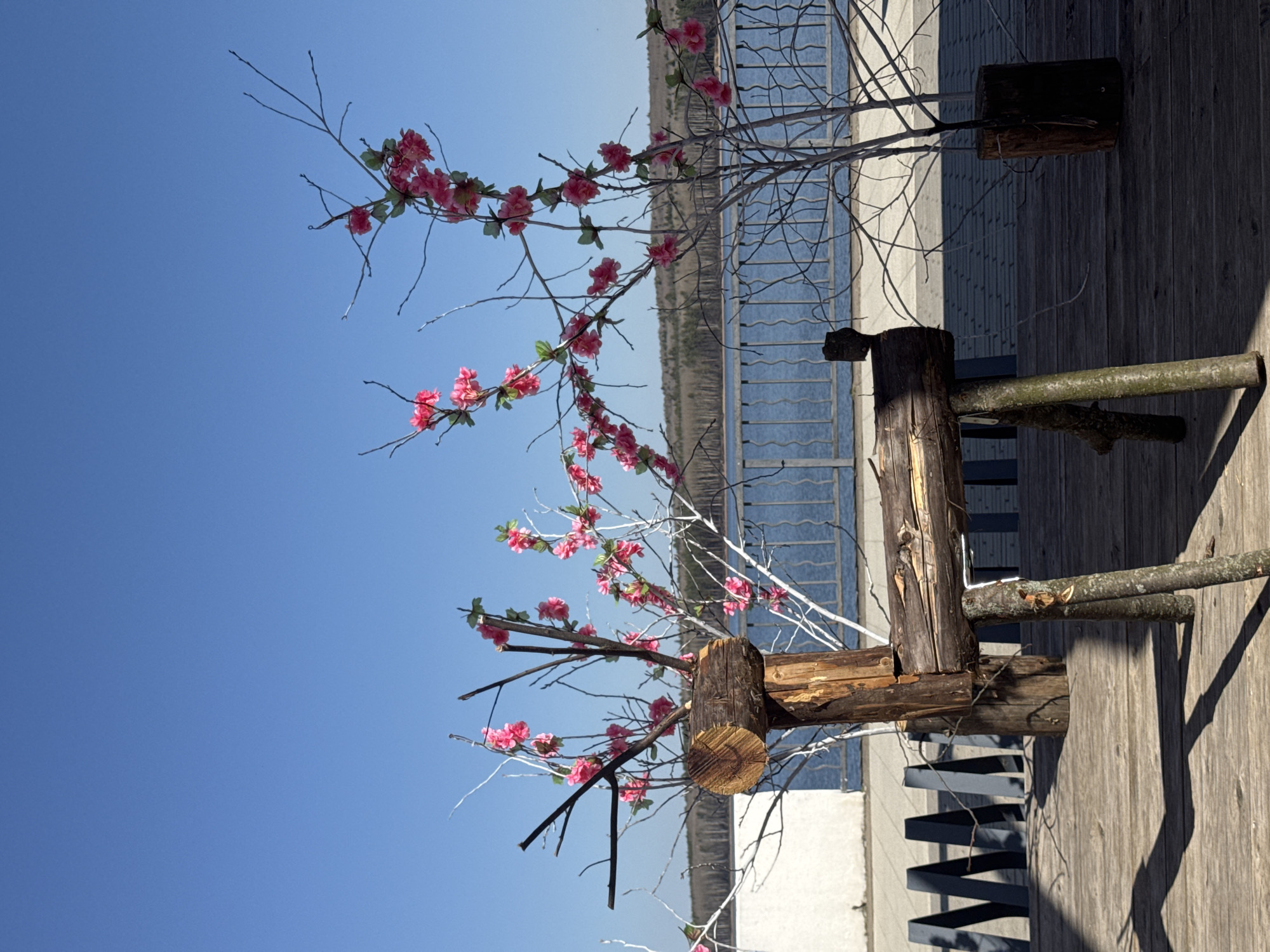 The image depicts a sunny outdoor scene. A decorative wooden structure resembling a tree, adorned with pink artificial flowers, stands in the foreground. The structure appears to be located on a wooden deck or walkway. In the background, there is a body of water with a visible shoreline on the opposite side. A metal railing runs along the edge of the deck, separating it from the water.
Based on the context clue of "Chaikovsky, Russia," it can be inferred that this scene is likely within a park or recreational area along the Kama River in the city of Chaikovsky. However, without additional visual information, further details about the precise location and the purpose of the wooden structure cannot be determined.