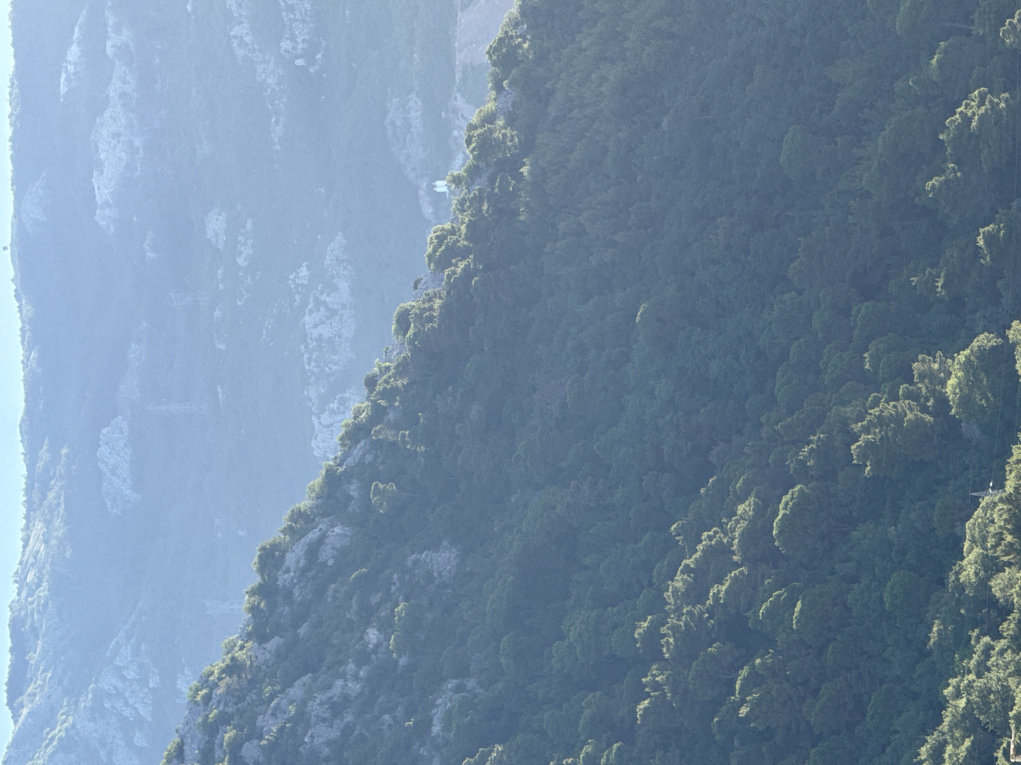This image shows a view of the forested slopes of a mountain near Budva, Montenegro. The mountains are layered and covered in dense green foliage, with some lighter rocky outcrops visible. The sun is casting a light on the scene, creating highlights on the trees. In the distance, on the ridge of one of the mountains, two white structures are visible, possibly a small chapel or monument. The sky is a pale blue, with some haze or mist obscuring the furthest mountain ranges. The overall impression is one of a serene and natural landscape.