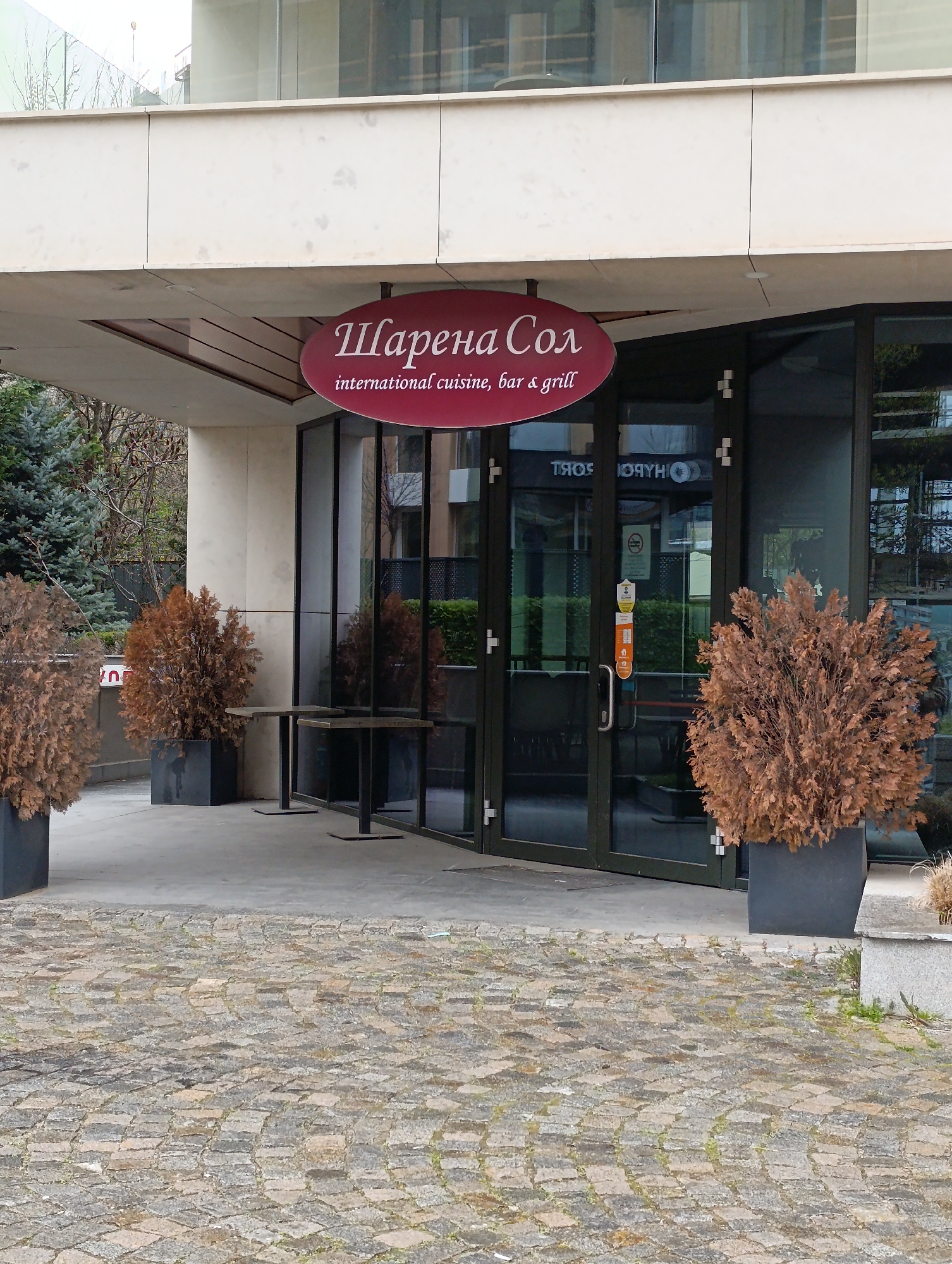 The image shows the entrance of a restaurant called "Шарена Сол" in Sofia, Bulgaria. The sign indicates it serves international cuisine and offers a bar and grill. The restaurant has a modern facade with large glass doors and windows. Two small black tables are placed outside the entrance. Three large potted, brown bushes decorate the entryway. The ground is paved with stone blocks. The weather appears overcast.