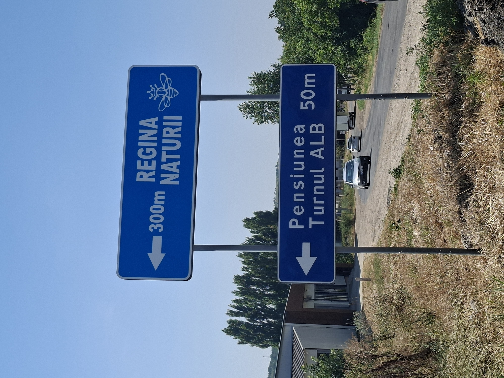 A clear, sunny day is depicted, with a bright blue sky dominating the upper portion of the frame. Two blue directional signs, mounted on a metal pole, are the primary focus. The upper sign, with white lettering and a white bee graphic, reads "REGINA NATURII" and indicates a distance of "300m" to the left. The lower sign, also blue with white lettering, reads "Pensiunea Turnul ALB" and indicates a distance of "50m" to the left.
The signs are positioned alongside a two-lane asphalt road. In the background, there are green trees, a building with a dark-colored roof and beige walls, and a few vehicles. A silver sedan is visible on the road in the foreground, followed by a white car and a white truck further down the road. The immediate surroundings of the road are characterized by dry, yellowed grass and some green vegetation. The overall impression is that of a rural or semi-rural setting, possibly on the outskirts of Costești, Moldova, given the Romanian text on the signs.