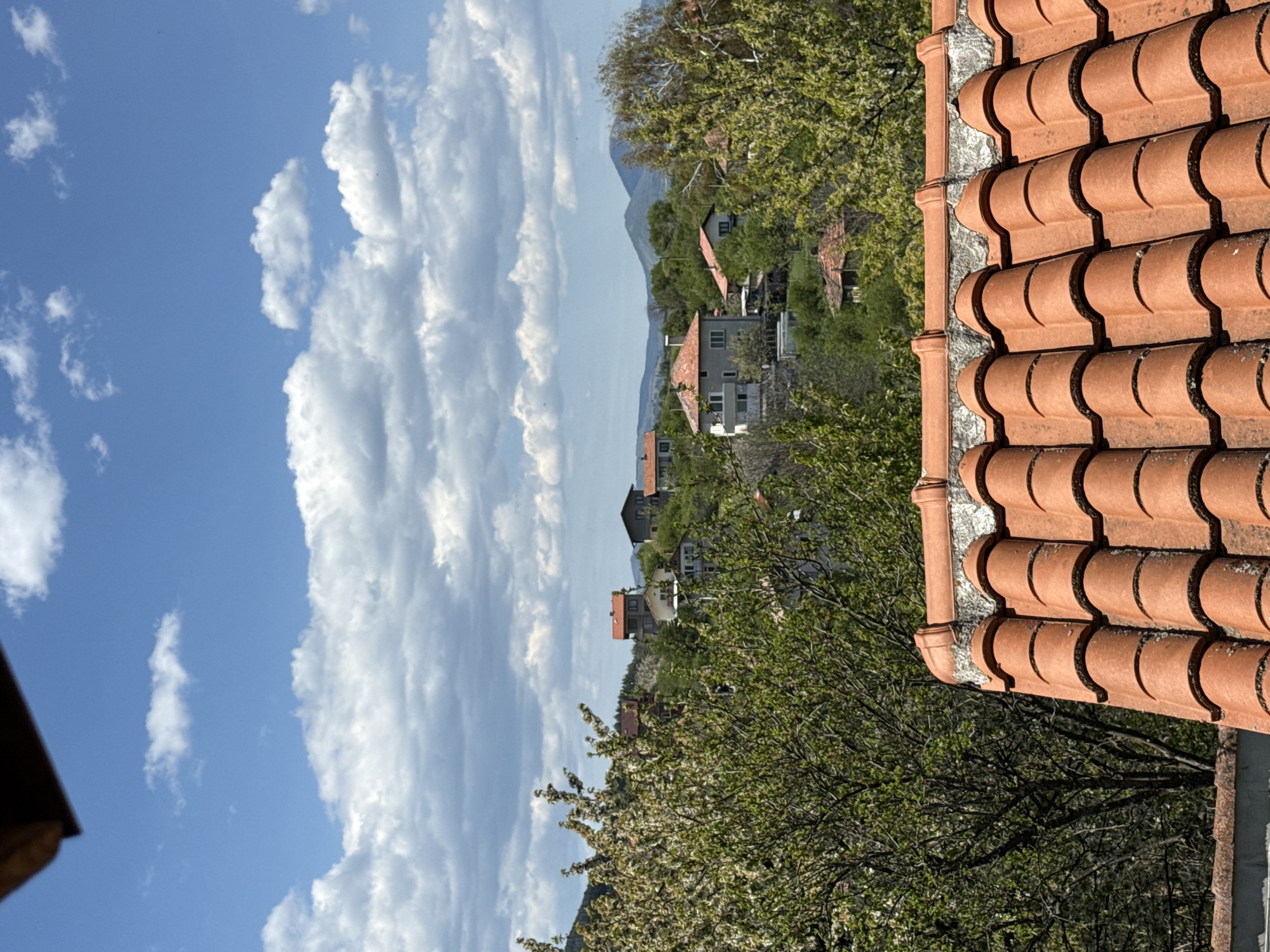 A view of Selishten Dol, Bulgaria from atop a building on a sunny day. The foreground is dominated by orange clay roof tiles, possibly belonging to the building from which the photo is taken. Part of a tree with green and white flowers obscures the view behind the roof. Further away, a cluster of residential buildings with orange roofs is visible amidst trees. Mountains are faintly visible in the background under a sky filled with puffy white clouds. The sky is blue with a gradient of darkness from top to bottom.