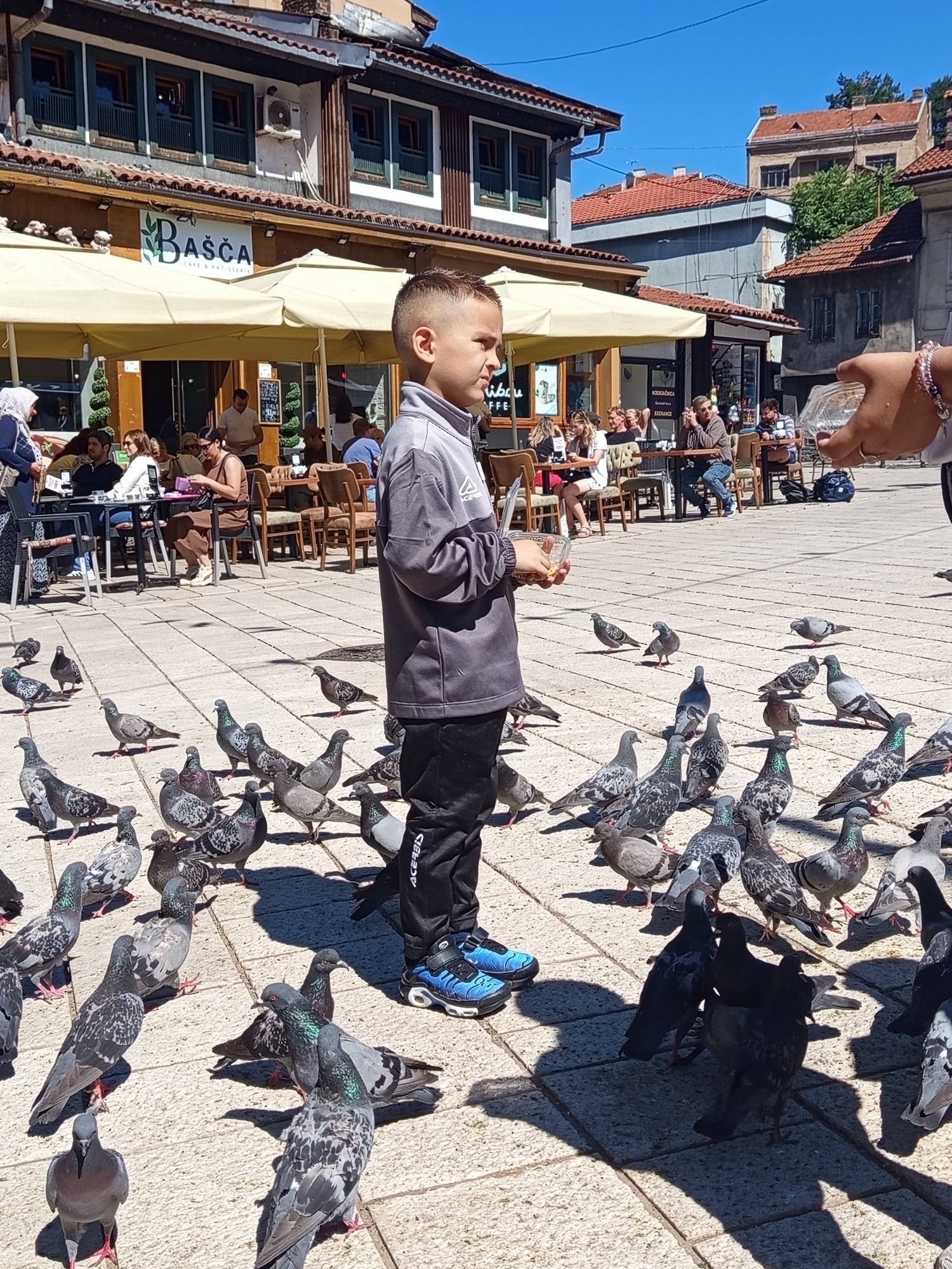 In Sarajevo, Bosnia and Herzegovina, a young boy stands on a cobblestone plaza, a small clear plastic cup of birdseed in his hand, surrounded by numerous pigeons. The boy, wearing a grey hooded jacket and black track pants with blue athletic shoes, is actively feeding the birds. Several pigeons are gathered around his feet and in front of him, pecking at the ground, likely in anticipation of or after receiving food. In the background, outdoor seating areas of a cafe or restaurant are visible, with patrons seated at tables. The architecture suggests a historic European city, with buildings featuring tiled roofs and traditional facades. The scene is bathed in bright sunlight, casting distinct shadows on the plaza.