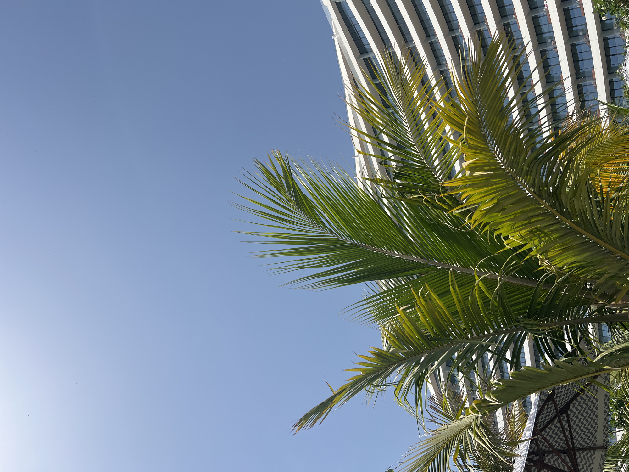 The image captures a view looking up towards a modern, multi-story building with a striped facade, typical of architecture in Dubai. A palm tree with green fronds occupies the right side of the frame, partially obscuring the building. The clear, blue sky dominates the left side of the composition. No people are visible. The location is consistent with the urban landscape of Dubai, United Arab Emirates.