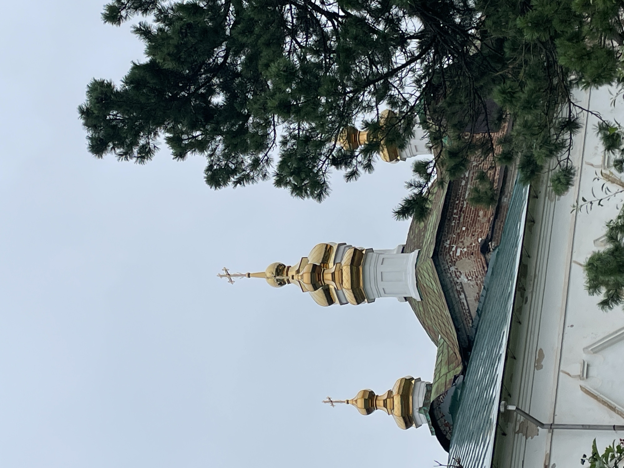 The image shows a view of the domes of a church, partially obscured by a large evergreen tree in the foreground. The domes are golden and topped with crosses. The church appears to be made of brick and has a green roof. The sky is overcast. The image's location in Кстинино, Russia, is noted, suggesting this is a depiction of a religious building in that area.