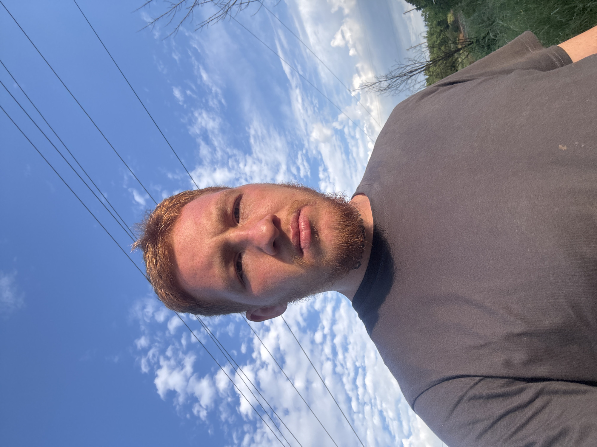 A close-up, head-and-shoulders selfie of a man with reddish-blonde hair and a beard is shown against a bright blue sky with scattered white clouds. The man is wearing a dark grey t-shirt. Power lines are visible running horizontally across the upper portion of the image. To the right, a sparse, bare tree and green foliage are visible against a slightly overcast sky. The man's face is turned towards the camera, and he has a neutral expression. There is a visible tattoo on his neck. The lighting suggests it is daytime, possibly late afternoon due to the shadows.