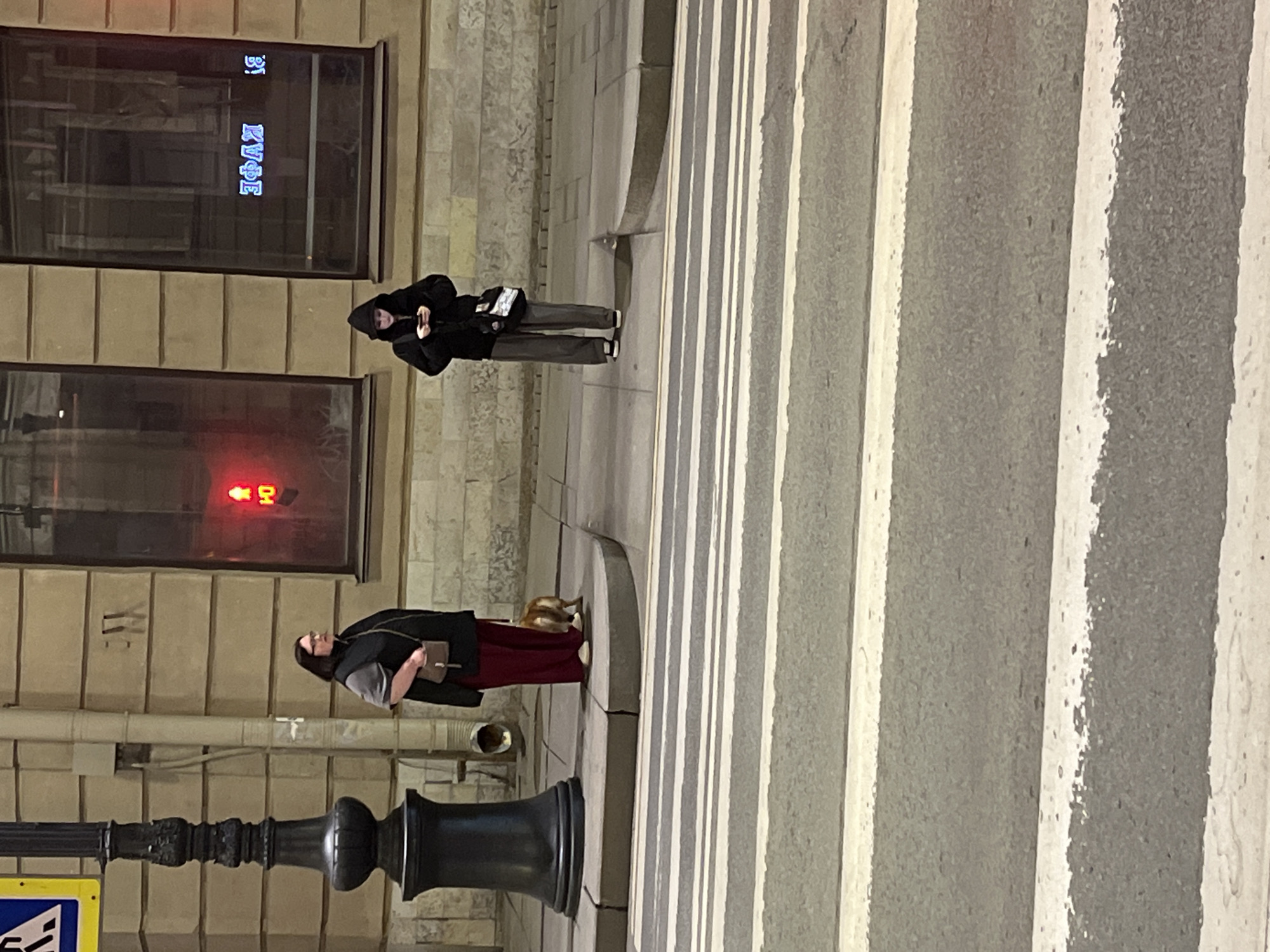 The image depicts a street scene in Saint Petersburg, Russia, at night. The location is identifiable by the architectural style of the buildings and street furniture. Two people are crossing the street at a crosswalk.
One person, seen in dark clothing with a hood up, appears to be looking at their phone. They are holding a small bag.
The second person is walking with a dog and wearing a dark coat and a maroon skirt.
The street has pedestrian markings indicating a crosswalk. The background includes building facades with windows. A traffic light can be seen, and there is street signage in the lower left corner.