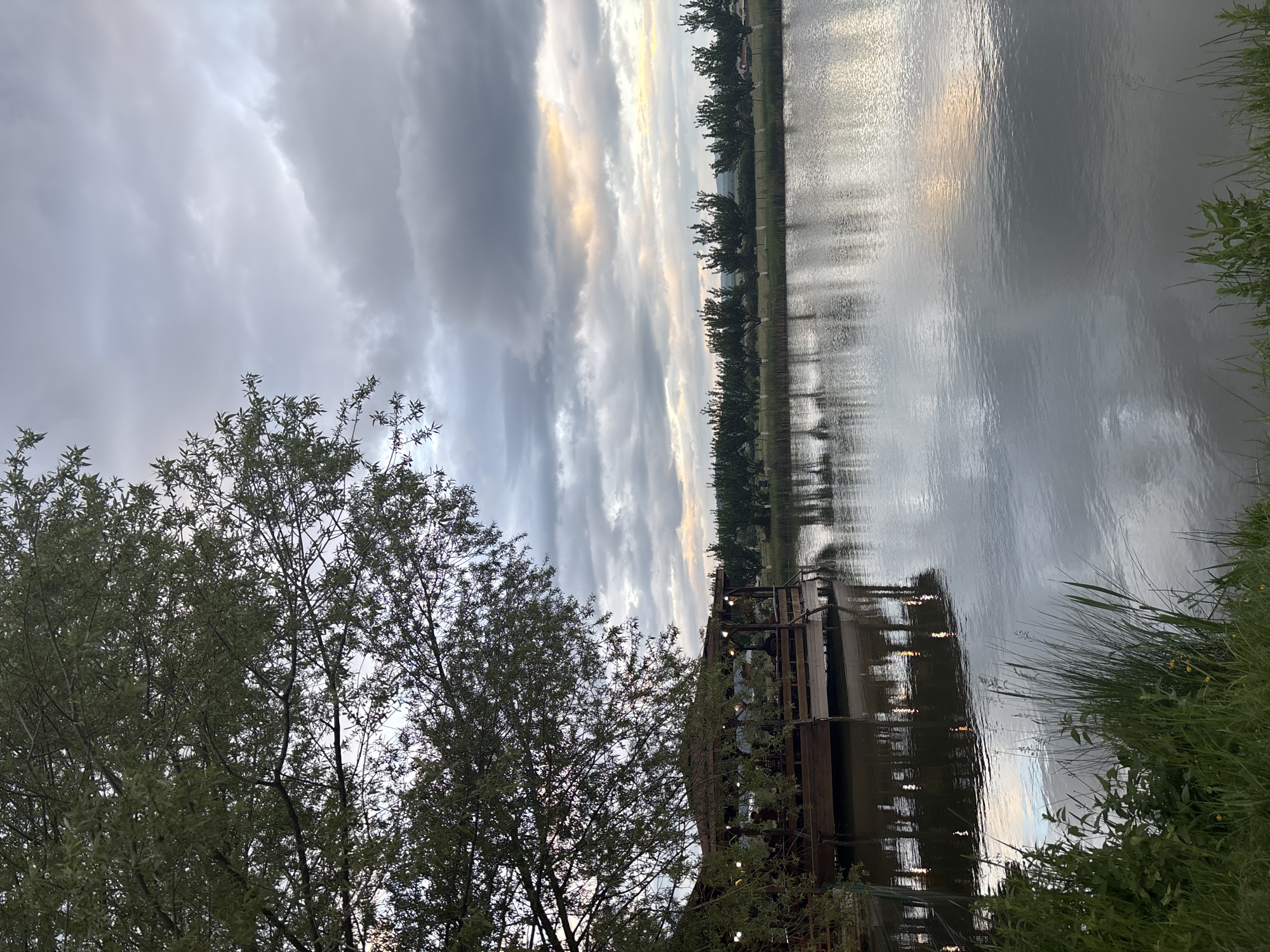 The image depicts a lakeside scene in Doganovo, Bulgaria, with a wooden dock extending into the water. The sky is overcast with striated clouds reflecting in the water. Tall trees line the opposite bank. Vegetation grows along the near shoreline. A large tree stands in the foreground, partially obscuring the view of the dock. Lights are visible on the dock, suggesting it is possibly a restaurant or gathering place. There are no discernible people or specific actions. The overall environment suggests a calm, potentially dusk-lit setting.