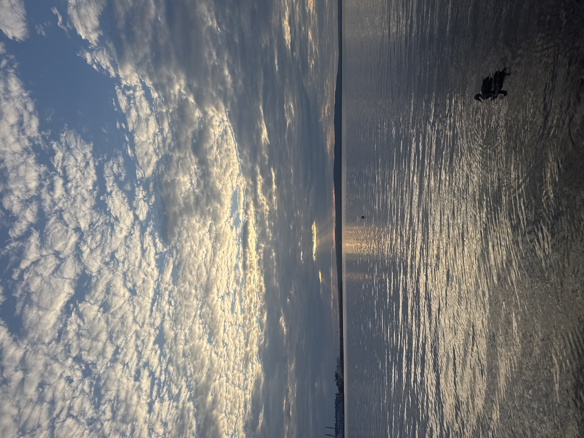 The image depicts a tranquil scene of the Kama River in Chaikovsky, Russia, during what appears to be sunrise or sunset. The sky is filled with a dramatic display of clouds, characterized by a mix of fluffy white cumulus clouds and darker, more ominous storm clouds. Shafts of sunlight pierce through the cloud cover, casting a warm glow on the water and illuminating the rippling surface. In the distance, a silhouetted shoreline features industrial structures and a faint, hazy horizon. Two ducks are swimming in the foreground, their dark forms contrasting with the shimmering water. The overall impression is one of serene beauty and natural splendor.
