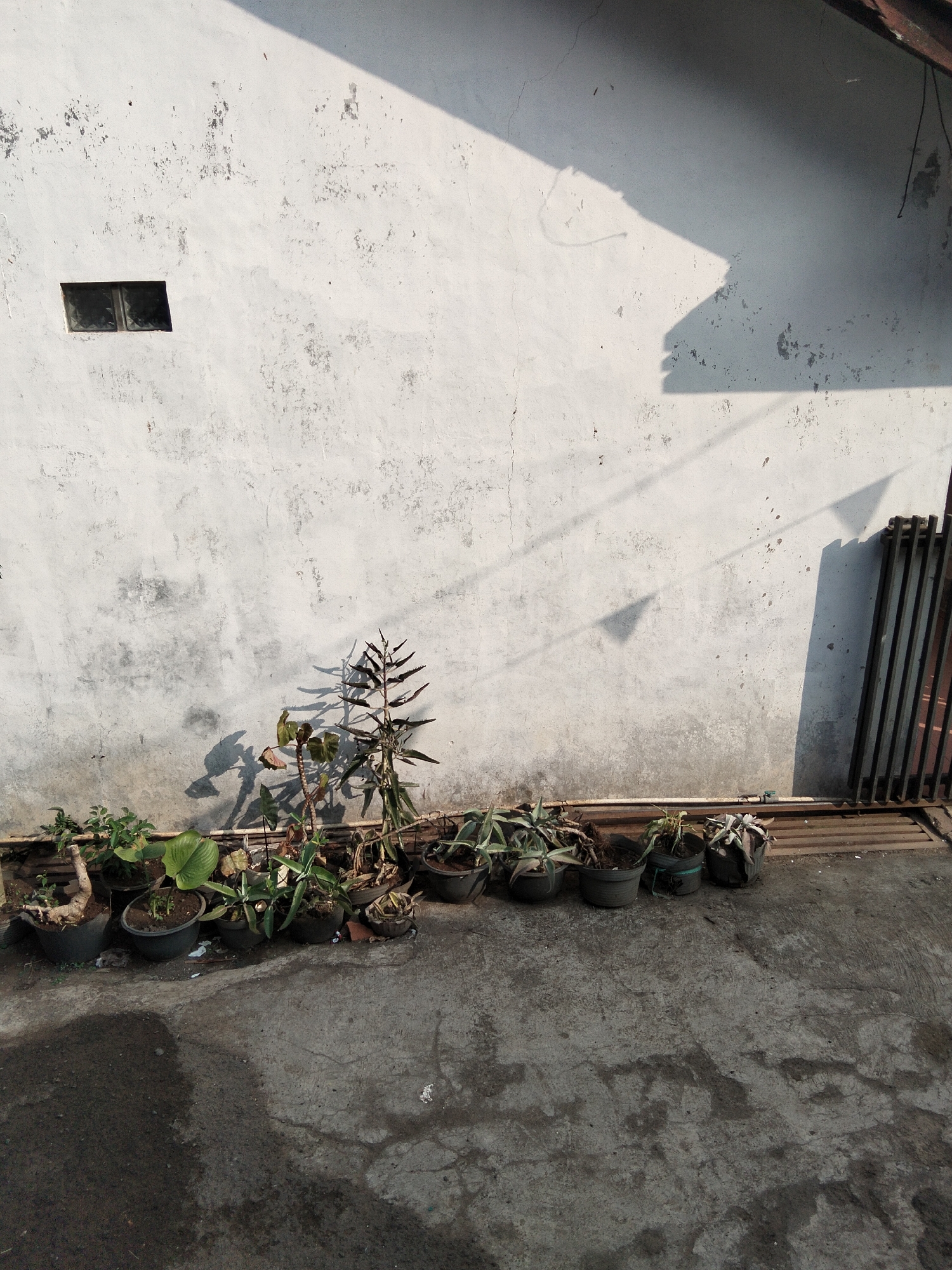 A high-angle, full shot shows a row of potted plants lined up against a white, weathered concrete wall. The wall has patches of dark discoloration and a small, dark-tinted rectangular window on the left side. Shadows from an unseen structure cast geometric patterns across the wall, suggesting it is daytime and sunny. A dark metal grate runs horizontally at the base of the wall, and to the far right, a section of dark vertical bars is visible, possibly part of a gate or fence. The ground in front of the wall is concrete, with some dark, wet-looking patches and scattered debris. The potted plants vary in size and type, with some appearing healthy and green, while others look dry or sparse. The scene evokes a feeling of a modest urban outdoor space, perhaps a backyard or alleyway. The location is identified as Bandung City, Indonesia, which is known for its hilly terrain and often humid climate, which could explain the appearance of the wall and the vegetation.