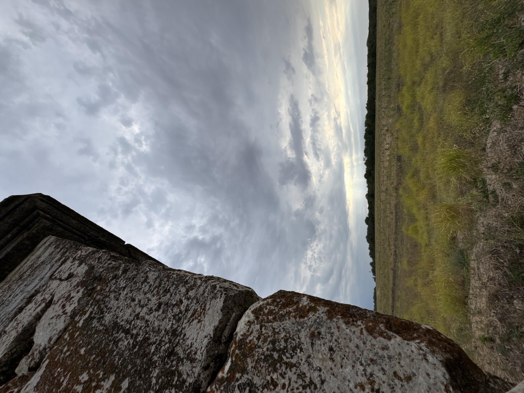 The image depicts a natural landscape scene under a cloudy sky. In the foreground, a large, textured rock formation occupies the left side of the frame, appearing weathered and covered with patches of lichen in shades of white and reddish-brown. The rock's surface has a rough, irregular texture.
The middle ground features a grassy field with varied shades of green and yellow, suggesting dry or tall grass. The field slopes slightly towards the horizon. A line of trees forms a dark, dense band across the distant horizon, separating the field from the sky.
The sky is predominantly filled with a layer of gray clouds, with some patches of brighter light breaking through, particularly towards the center-right of the frame, suggesting the sun is low on the horizon or partially obscured. Sunbeams are faintly visible piercing through the clouds in the lower central part of the sky. The overall atmosphere is overcast and somewhat muted.
The image does not contain any people, animals, or man-made structures besides the large rock. The setting appears to be a rural or undeveloped natural area.