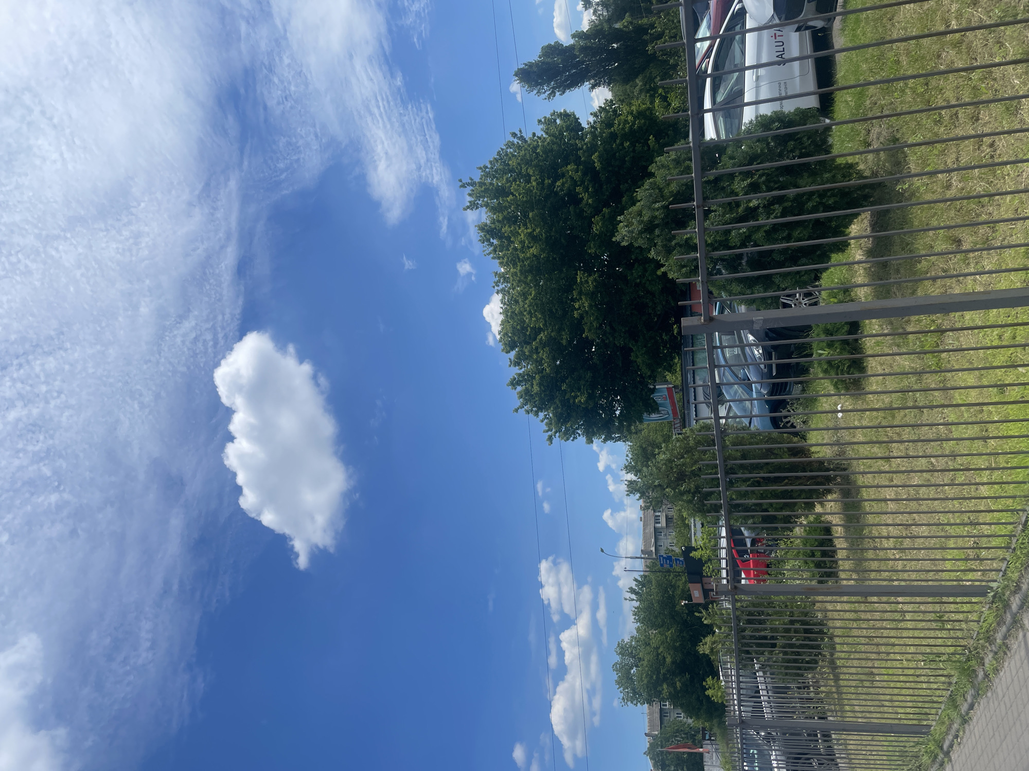 The image captures a bright, sunny day with a vibrant blue sky filled with scattered white clouds. In the foreground, a grey metal fence encloses a patch of grass and several parked cars. Behind the fence, a large, leafy green tree dominates the center of the frame, with other trees and buildings visible in the background. The buildings appear to be residential, with multiple stories and windows. There are power lines strung across the scene, typical of an urban environment. On the side of a white car parked behind the fence, the word "SALUTA" is visible, possibly indicating a business or brand. The overall impression is a typical urban street scene in Kyiv, Ukraine, on a clear day.
