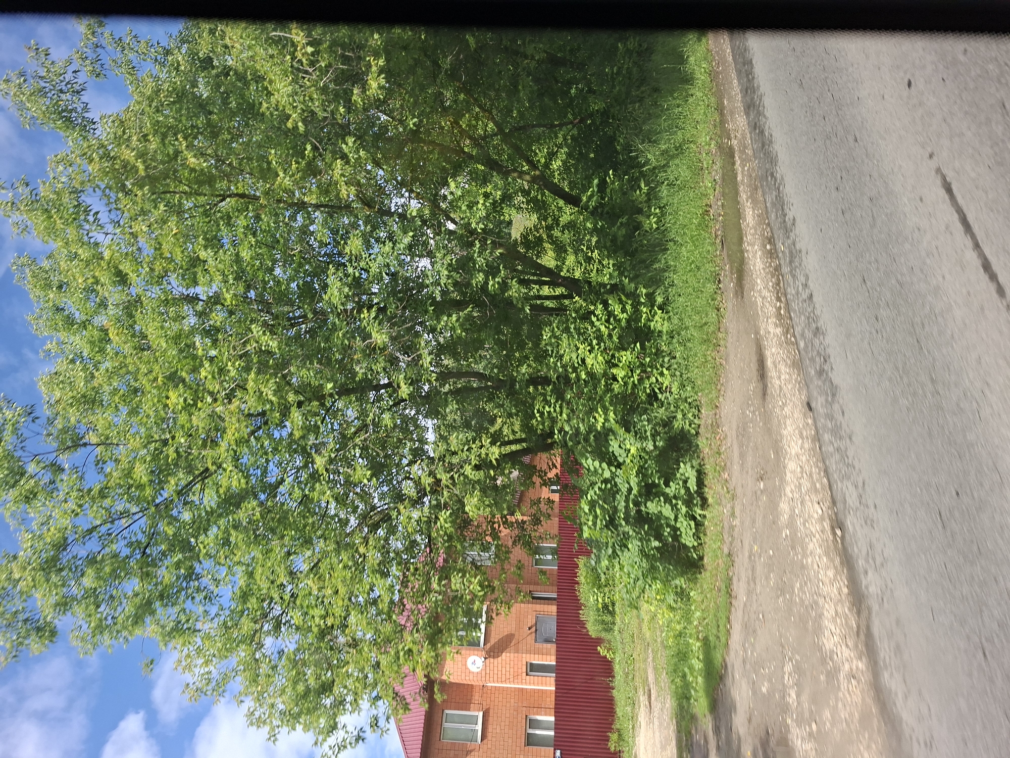 The image shows a brick building with a red roof, a red metal fence, and lush green trees. The building has multiple windows and a satellite dish. The trees are in full foliage, suggesting it is summer. The ground in front of the building is a gravel and dirt road, with some green grass and bushes. In the foreground, there is an asphalt road. The scene appears to be in a residential area, possibly on the outskirts of a city. Given the provided context, this image was taken in Kazan, Russia.