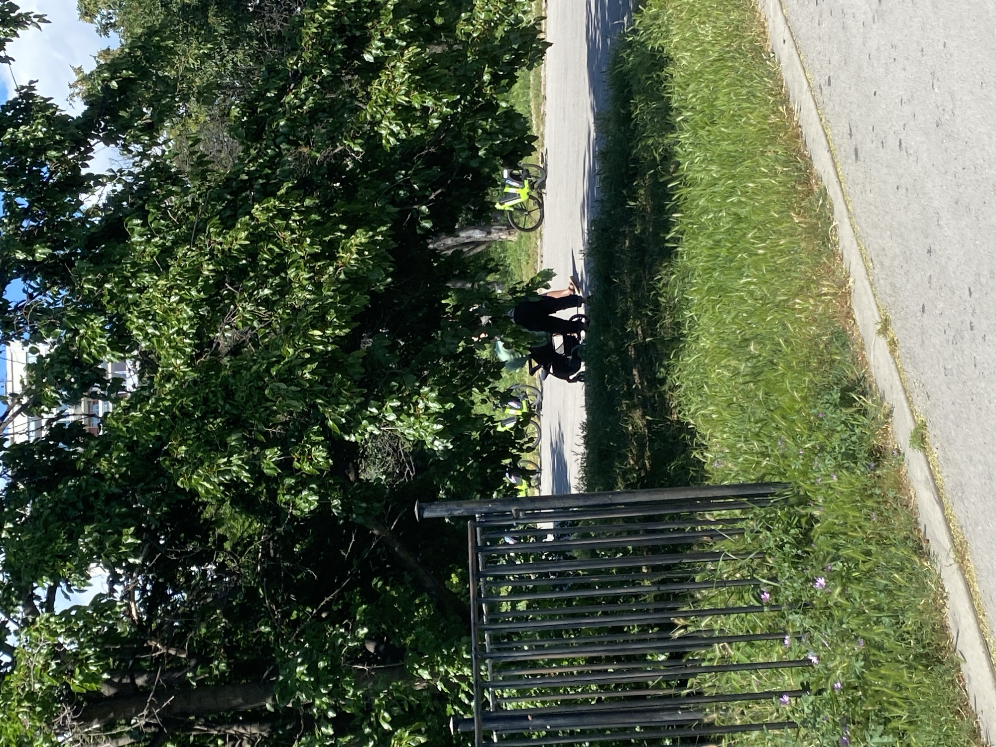 The image depicts a sunny outdoor scene, likely in the morning or early afternoon given the bright sunlight and distinct shadows. The setting appears to be a park or a paved walkway adjacent to a grassy area and lush trees. In the foreground, a dark metal fence with horizontal bars runs across the bottom of the frame, separating the viewer from a patch of green grass dotted with small purple flowers.
To the right of the fence and grass is a paved walkway, casting a shadow from the sun. A bright yellow and green bicycle is parked on the walkway, leaning against something unseen. Further down the walkway, two figures are visible. One appears to be sitting on the ground or a low object, while another is standing or walking, their backs mostly to the camera. The figures are dressed in dark clothing.
The left side of the image is dominated by a large, leafy green tree, its branches extending across the frame. Through the leaves, a portion of a modern building with white siding and windows can be glimpsed in the upper left corner. The sky above is blue with some wispy white clouds. The overall impression is one of a pleasant day outdoors, possibly in a city park or a recreational area in Varna, Bulgaria. There is no visible text in the image.