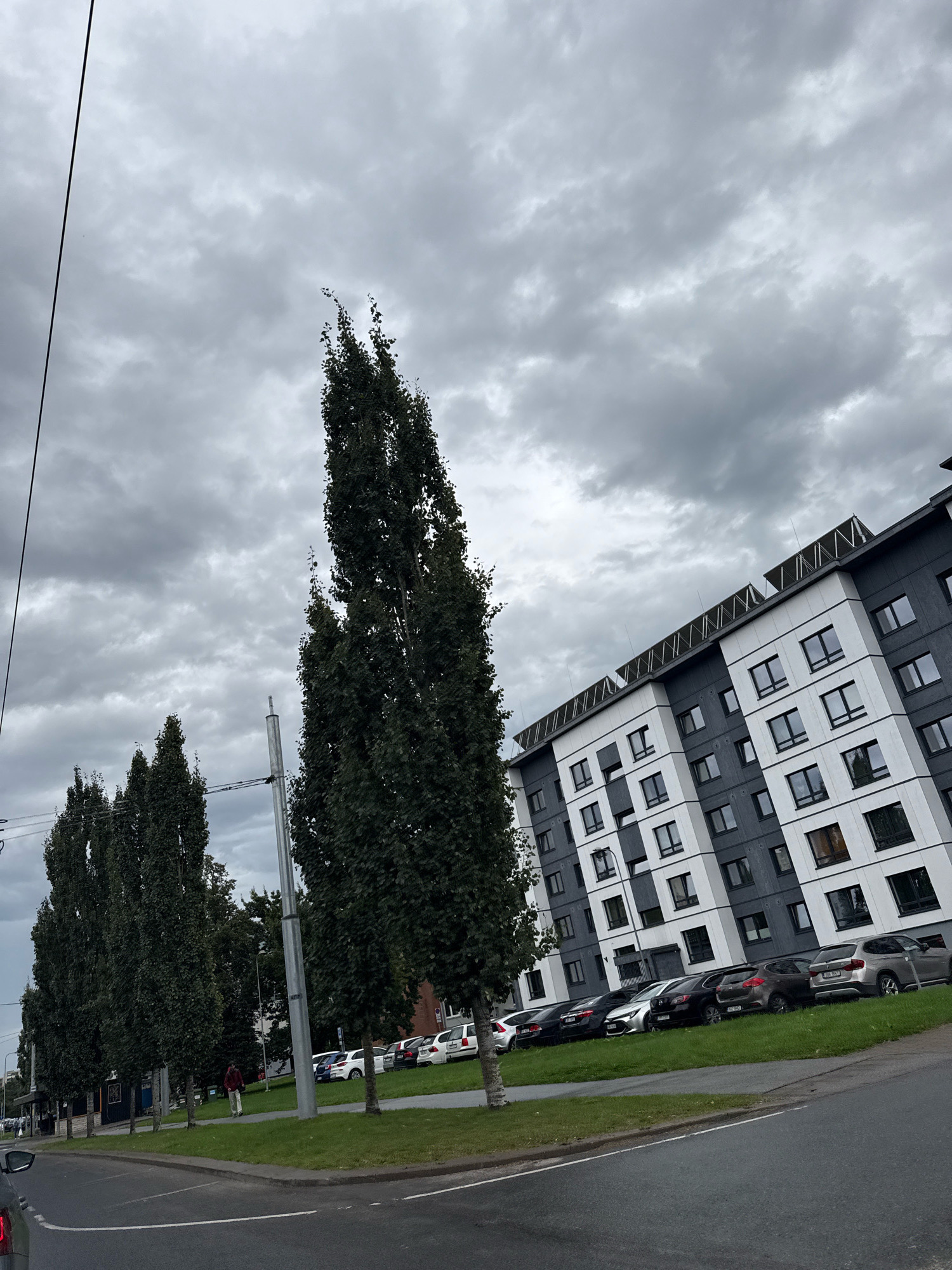 The image depicts a view of a modern apartment building in Tallinn, Estonia, under a cloudy sky. Tall, slender trees line a street in front of the building, with a sidewalk and parked cars visible. The apartment building itself features a distinctive alternating pattern of dark gray and white facades with numerous rectangular windows. Solar panels are installed on the roof. A single person is walking on the sidewalk between the trees and the street. The scene suggests an urban environment with residential architecture.