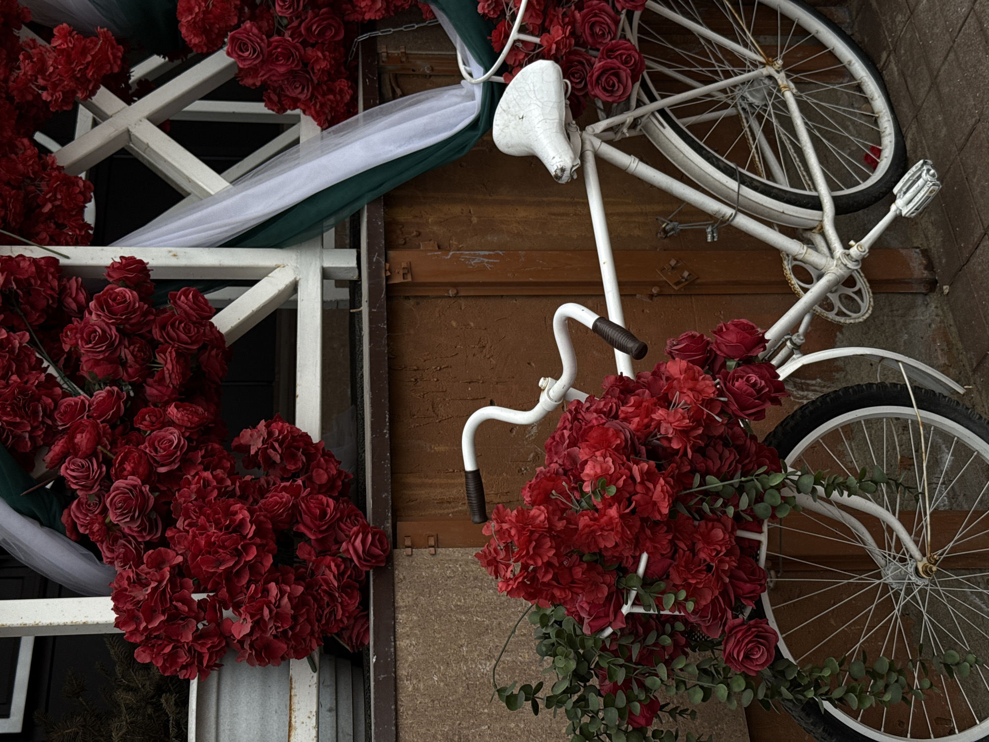 A white bicycle is propped against a brown-painted building exterior, adorned with large clusters of dark red roses. The bicycle's seat shows signs of wear, and its handlebars are partially obscured by the floral arrangement. Adjacent to the bicycle is a white-painted frame structure, also decorated with roses and draped with white and green fabric. The setting is an urban environment, identified as Perm, Russia.