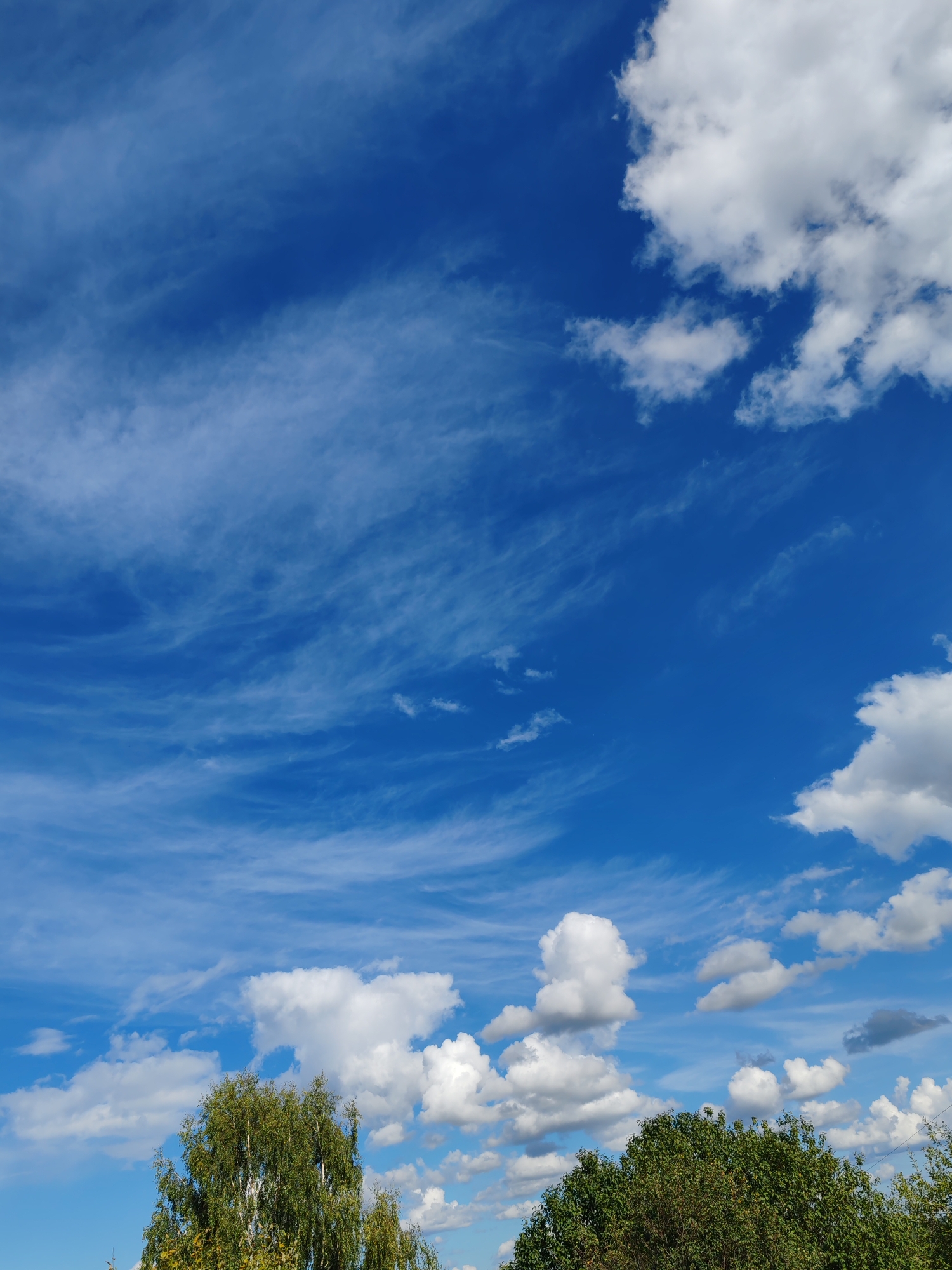The image shows a bright blue sky with scattered white clouds of varying sizes and shapes. Wispy, thin clouds stretch across the upper portion of the sky, giving it a textured appearance. In the lower part of the image, the tops of green trees are visible, with one tall tree on the left appearing to be a birch tree with its characteristic light bark. The scene is outdoors and appears to be a clear day, typical of a rural or suburban environment. The location is identified as Chukhlem, Russia. There are no people or specific actions depicted in the image.