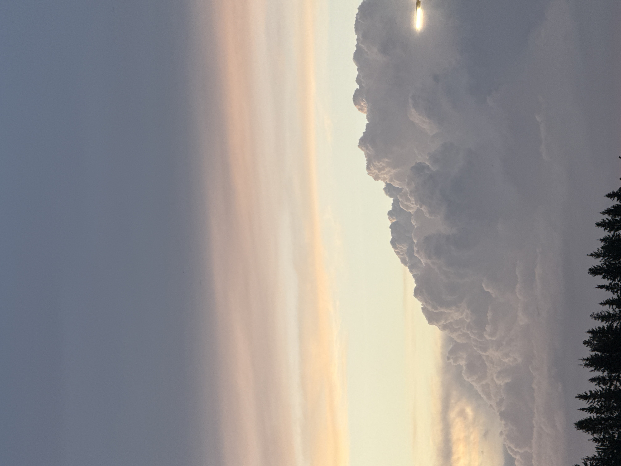 The image shows a dramatic sky over a forest line. The sky features a gradient of colors, from a muted blue at the top to softer pinks and yellows near the horizon. Large, textured clouds dominate the mid-ground, with a bright, glowing object, possibly an aircraft light, visible on the right side of the frame, partially obscured by the clouds. The foreground consists of the dark silhouettes of coniferous trees, suggesting a natural landscape. There are no people or specific city landmarks visible. The scene is likely captured at dusk or dawn due to the lighting conditions.