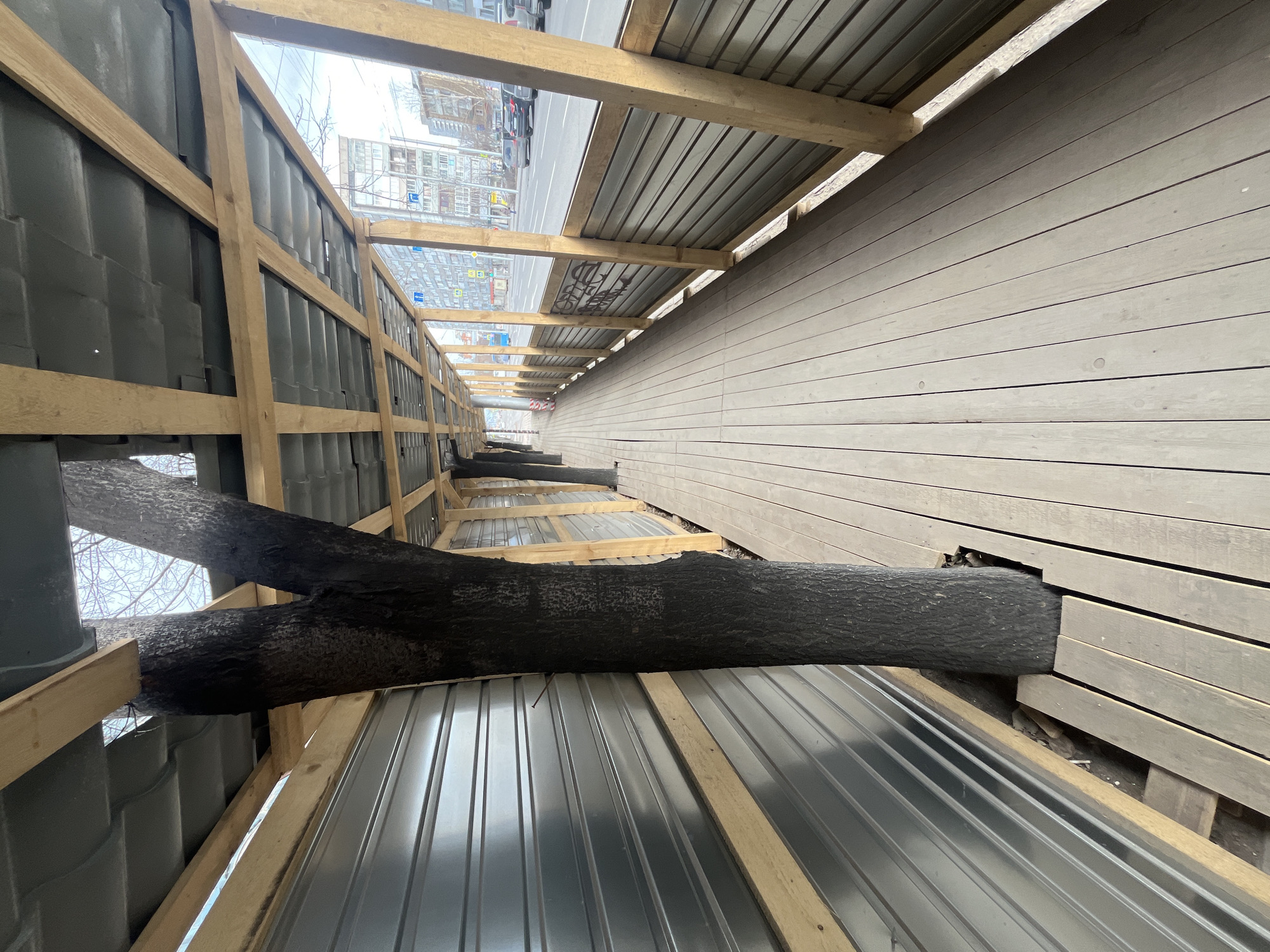 The image shows a view looking down a long narrow structure, possibly a covered walkway or construction site, in an urban environment. On the left, there's a metal sheet wall supported by a wooden frame. A thick, dark-colored tree trunk cuts through this structure, extending across the width of the frame. The right side features a wooden plank wall. The sky and distant buildings are visible at the end of the structure.