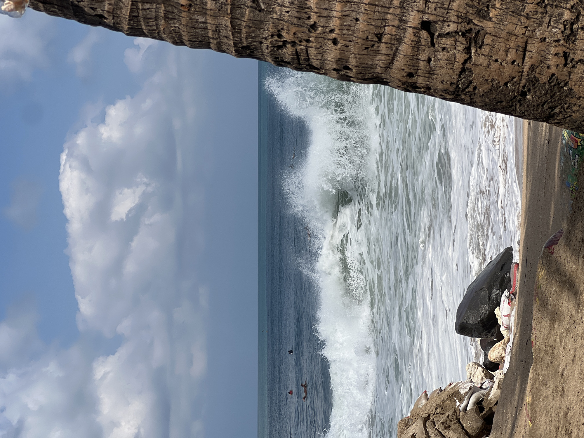 The image depicts a beach scene with the ocean in the background. The water is a deep blue, with white waves crashing near the shore. Several surfers are visible in the water, some lying on their boards, others paddling. The beach itself is composed of dark sand and rocks. In the foreground, a large, textured palm tree trunk is partially visible on the right side of the frame. Debris, including sacks and plastic, is scattered on the sand near some rocks. The sky is blue with scattered white clouds.
