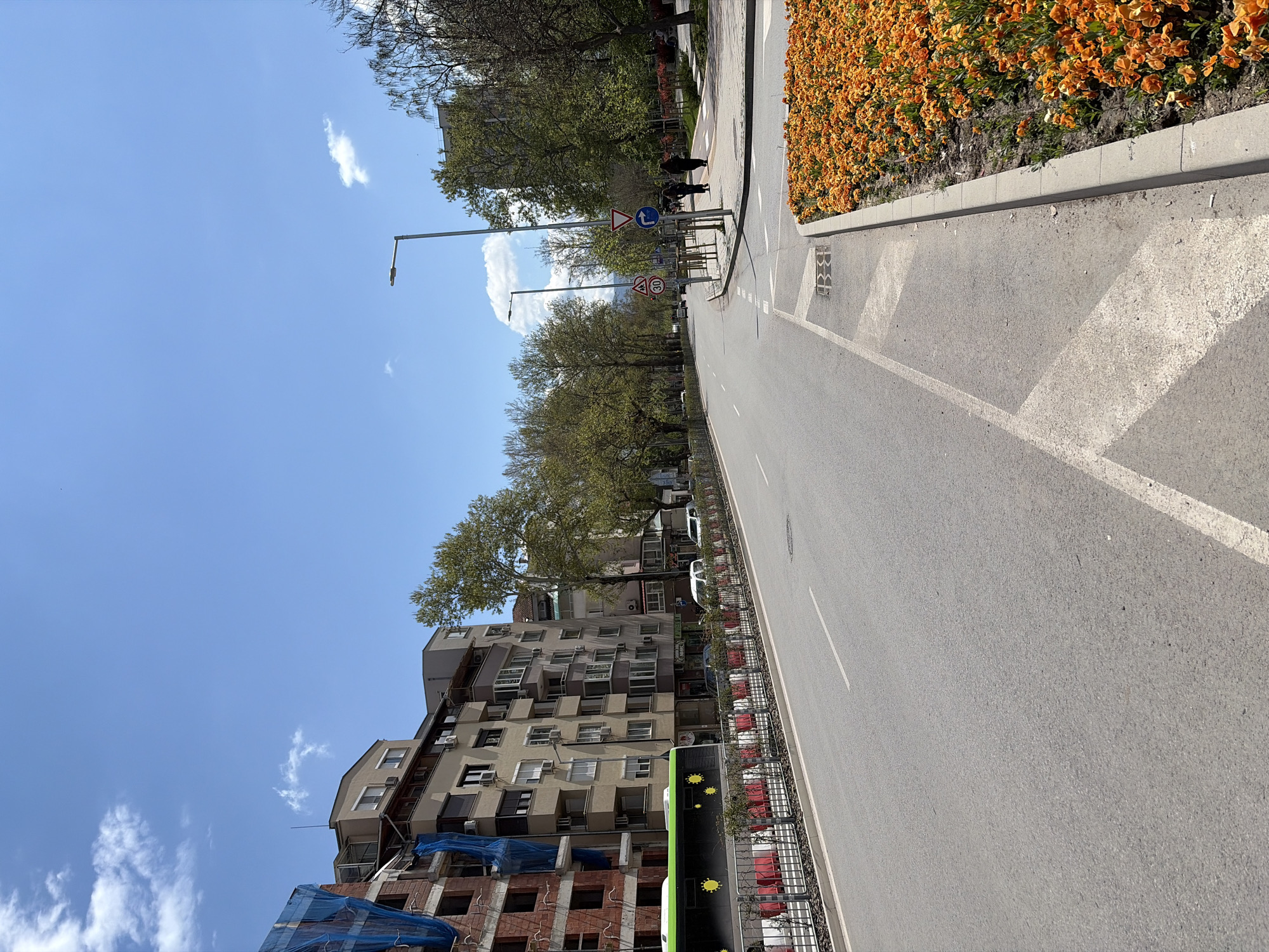 The image presents a bright, sunny urban street scene in Plovdiv, Bulgaria, captured in portrait orientation. The perspective looks along a road lined with buildings, trees, and sidewalks.
The sky is a clear blue with sparse, wispy white clouds, indicating fine weather. Lush green trees line both sides of the street, suggesting spring or summer.
On the right, a paved road extends into the distance, marked with white lines for traffic lanes and pedestrian crossings. Adjacent to the road is a concrete curb bordering a vibrant flowerbed abundant with orange blooms. A sidewalk runs further right, where two pedestrians are visible walking in the mid-ground.
On the left, a series of multi-story buildings stand. The nearest building shows signs of ongoing construction, with exposed brick and sections covered by blue protective netting. Further along, other buildings feature numerous windows and external air conditioning units. A partially visible green and black bus, decorated with yellow sun-like decals, is situated near the sidewalk on the left, possibly parked or moving slowly. Several parked cars are also visible behind a metal fence.
Key visible objects include multiple streetlights. Traffic signs indicate regulations and warnings: a circular blue sign with a white arrow directing a mandatory left turn, a triangular warning sign with a right-pointing arrow, and two circular red-bordered speed limit signs displaying "30" and "40".
The scene depicts a lively urban environment, combining natural elements like trees and flowers with infrastructure and construction, all under bright daylight. No specific event is unfolding beyond everyday street activity.