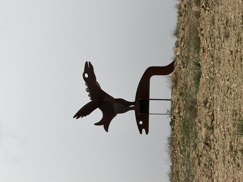 The image displays a dark-brown metal sculpture set against a pale, overcast sky in a desert-like environment. The photograph is rotated 90 degrees counter-clockwise. When viewed correctly, the sculpture stands on a desolate, rocky, and sandy terrain characteristic of an arid landscape, with sparse patches of dry green and brown vegetation scattered among small stones and larger rocks.
The sculpture itself is abstract and appears to be composed of two main stylized figures, possibly representing desert animals or birds. The figure on the left resembles a bird with outstretched wings in flight, featuring a distinct head with an eye-like circular cutout. Its form is sleek and elongated. The figure on the right is more geometric, with a long, curved neck and a head also featuring a circular cutout, suggesting an eye. Both parts are connected at their bases by a dark, possibly square or rectangular structure, and are supported by thin, dark vertical rods or supports. The sculpture is crafted from flat metal sheets, giving it a two-dimensional yet imposing presence against the sky.
The lighting is soft and diffused, indicating an overcast day or perhaps early morning/late afternoon, as there are no harsh shadows visible. The sky is a uniform light gray, providing a stark contrast to the dark metal of the sculpture and the earthy tones of the ground. No people or specific activities are depicted in the scene. The setting, located in the Bnei Shimon Regional Council, Israel, reinforces the impression of a natural, untamed desert landscape. There is no visible text on the sculpture or in the environment.