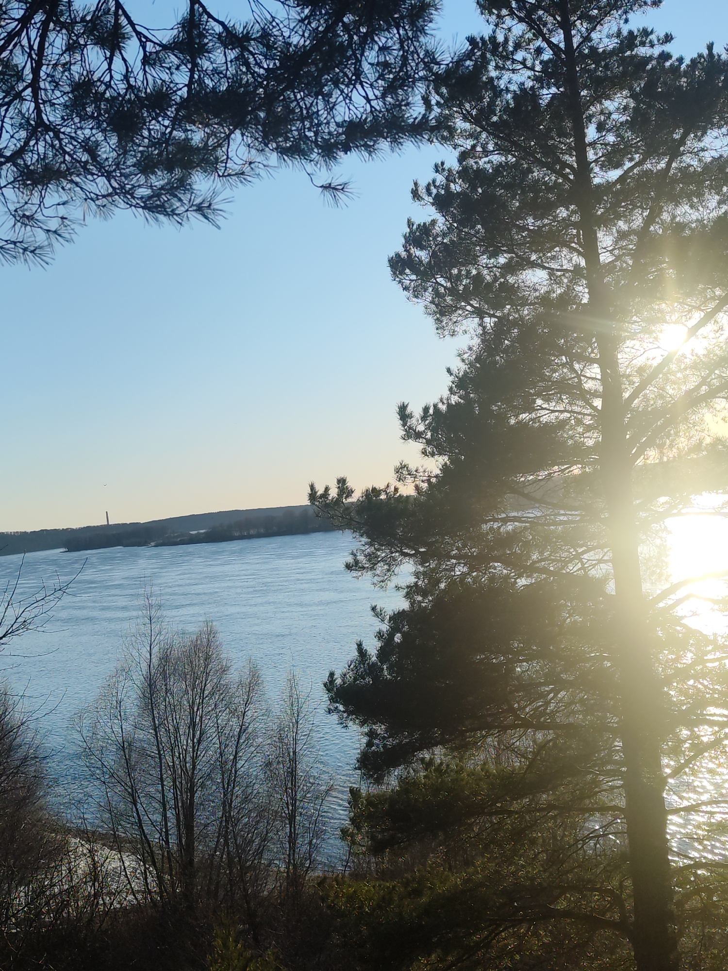 The image presents a landscape with a body of water, likely a river or lake, bordered by trees and land. The sky is clear and blue, suggesting a bright day. A tall, dark tree is prominently positioned on the right, obscuring the sun and causing a significant amount of lens flare. Other trees, including bare ones, are located on the lower left. Across the water, there is a landmass with trees and what appears to be a tall structure in the distance. The location may be Noviy, Russia.