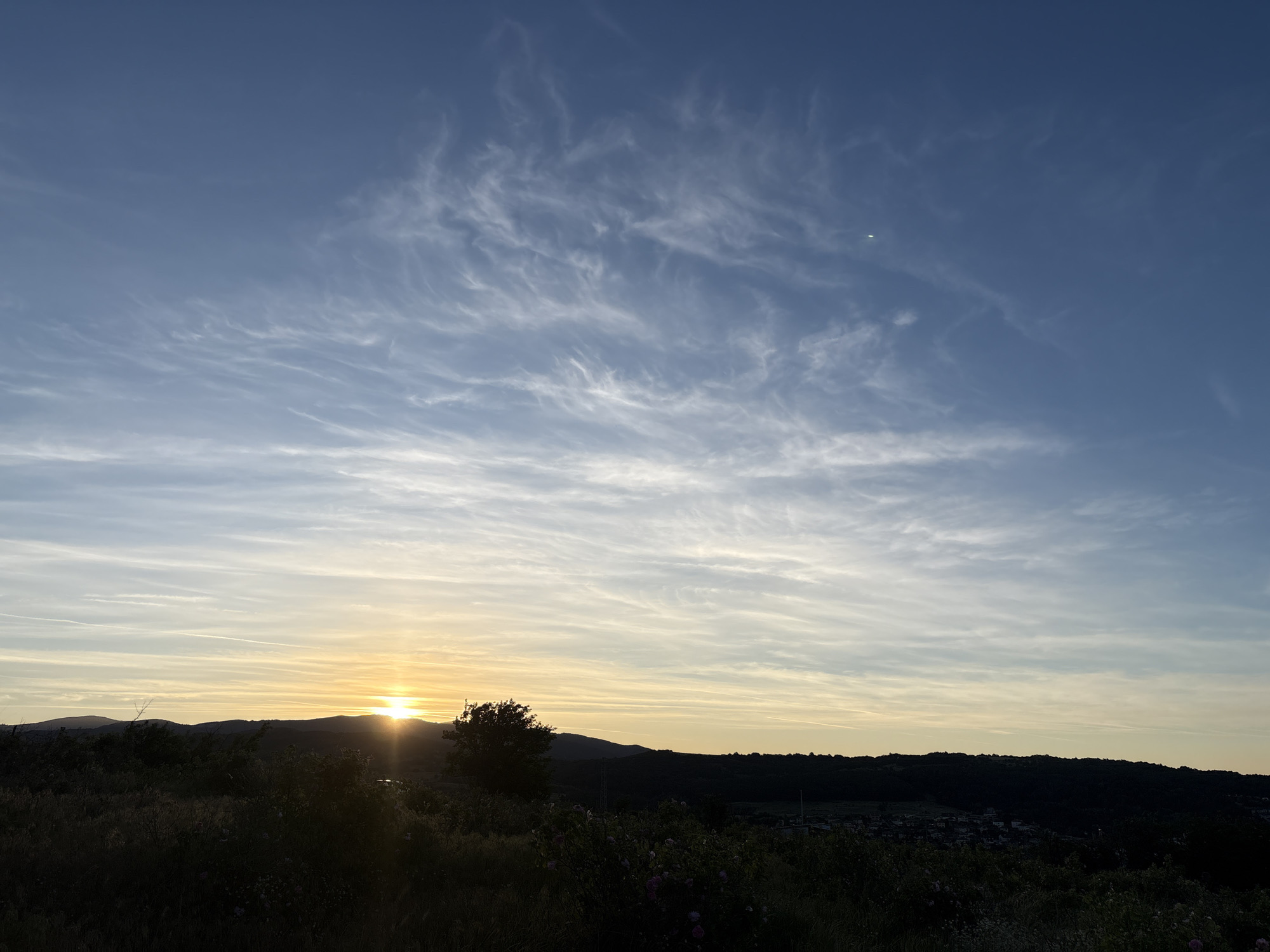 The image captures a sunset view near Strelcha, Bulgaria. The sun is positioned near the horizon, partially obscured by a dark, silhouetted tree and the outline of distant hills. Above, the sky transitions from a pale yellow near the horizon to a deeper blue higher up, adorned with wispy, white clouds. The foreground consists of dark vegetation, with hints of blooming flowers. In the distance, a small town or settlement is visible at the base of the hills. The overall scene is a tranquil landscape at dusk.