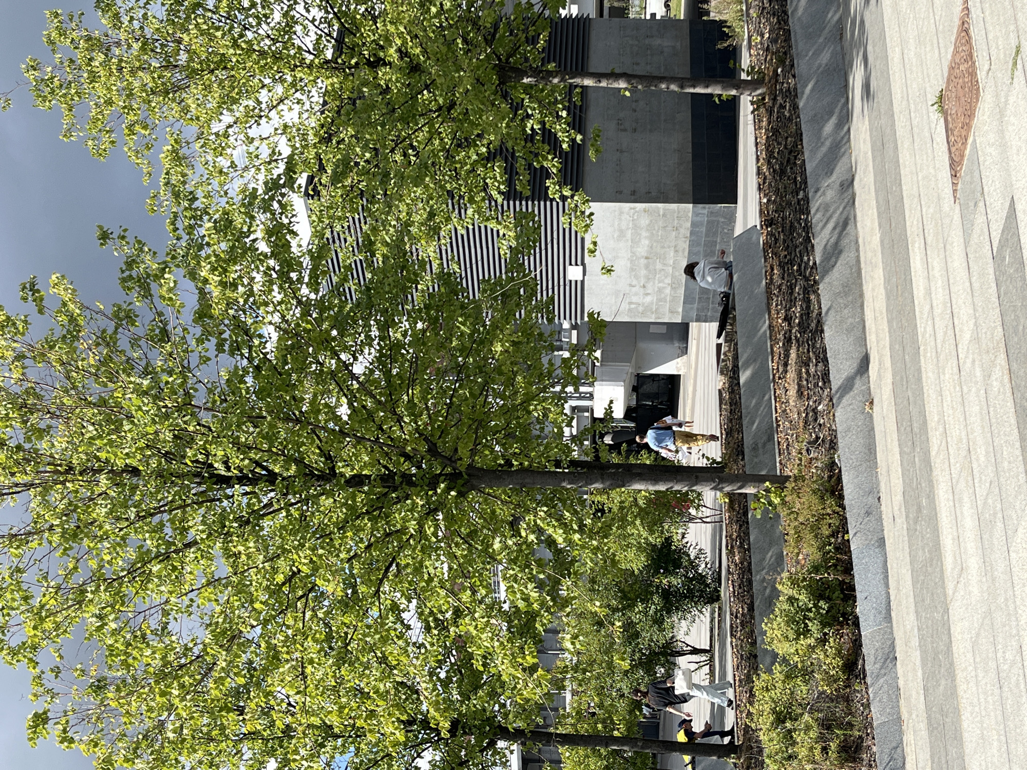 The image depicts an outdoor scene in a modern urban environment, potentially within Moscow, Russia, characterized by contemporary architecture and landscaping. In the foreground, a paved walkway made of large, light-colored rectangular tiles creates a patterned surface. Adjacent to the walkway is a raised planter bed filled with dark mulch and vegetation, bordered by a granite-like material.
Several mature trees with vibrant green foliage are prominent throughout the scene, their leaves catching the sunlight. Behind the trees, a multi-story building with a dark, horizontally slatted facade and concrete elements is visible. The sky is overcast with dark clouds.
In the middle ground, a few individuals are present. To the left, two people are walking; one is wearing a black shirt and light-colored pants, carrying a white bag. Another person is partially visible and bending down. Further to the right, a person in a blue shirt and khaki pants walks away from the camera. In the far right middle ground, a person wearing a light-colored hooded garment is seated on a low concrete structure, facing away from the viewer.
The overall impression is one of a public space, possibly a park or a plaza, with a blend of natural elements and modern infrastructure.