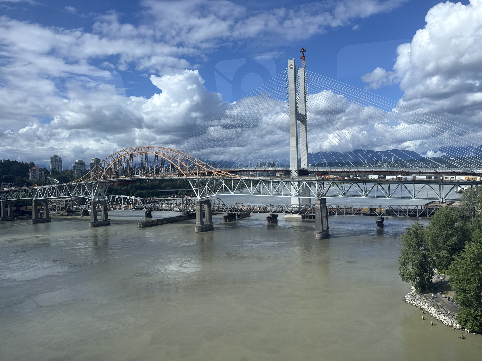 An aerial, eye-level, wide shot captures the Fraser River in Surrey, Canada, spanned by multiple bridges under a dynamic sky filled with white, cumulus clouds against a bright blue background. The most prominent structure is a modern cable-stayed bridge with a tall, white pylon topped by a construction crane. To its left, a segment of an older, orange arch bridge is visible. Further to the left, a metal truss bridge with concrete piers carries train tracks. The murky, brown waters of the Fraser River flow beneath these bridges. On the right bank of the river, a grassy area is dotted with trees and a rocky shoreline where several people are visible, appearing to be walking and sitting. In the background, a cityscape with several tall buildings rises behind a dense line of trees. The overall scene suggests a bustling urban environment situated within a natural landscape.