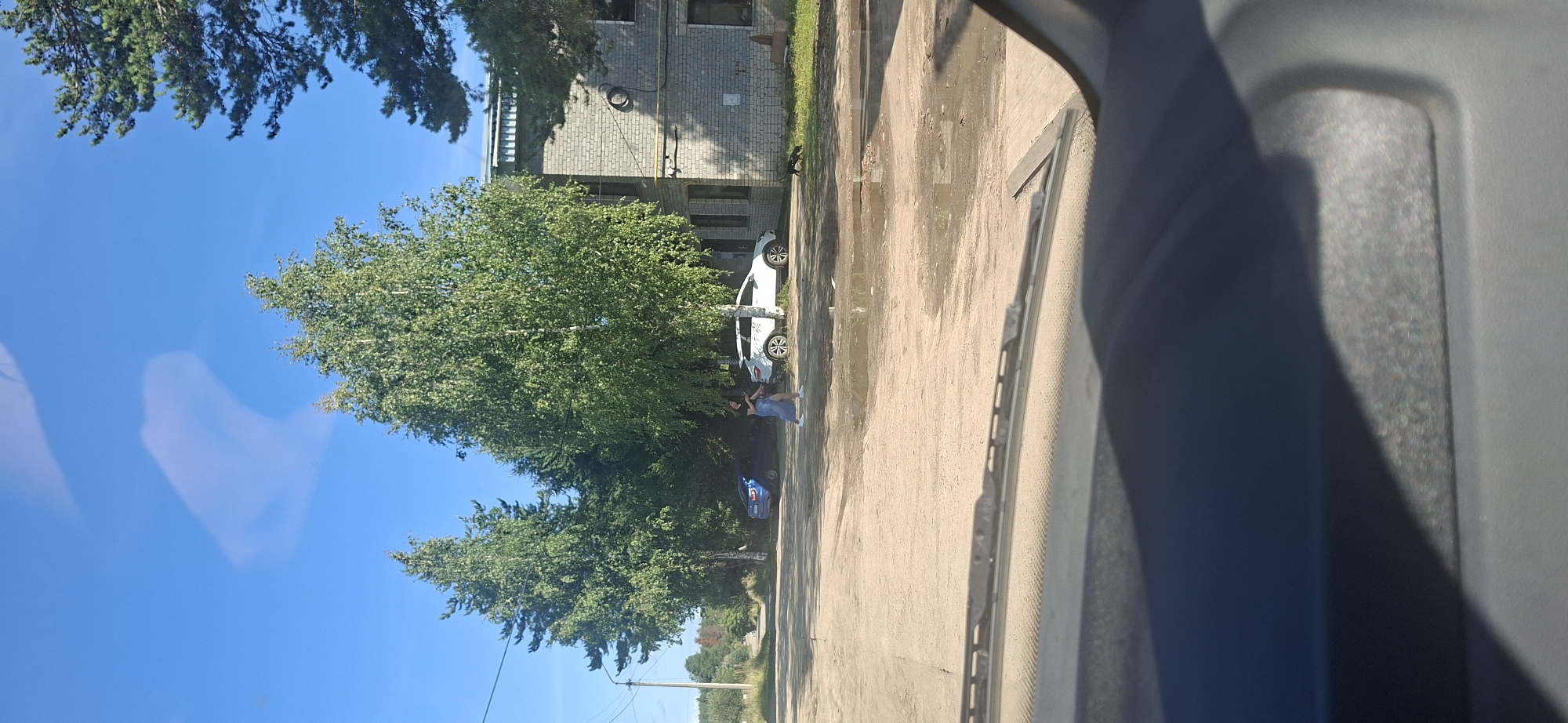 The image shows an outdoor scene in a semi-urban or rural setting. The foreground is dominated by the interior of a vehicle, with part of the dashboard and windshield visible, suggesting the photo was taken from inside a car.
In the mid-ground, a dirt or gravel road or lot is visible, with several puddles of water indicating recent rain. On the right side of the frame, a light-colored brick building with visible windows and a circular vent is present. In front of the building, a small, dark-colored dog is walking on a grassy area.
Further into the scene, a white SUV is parked. A woman in a dark top and a long, light-colored skirt is walking in front of the SUV. To the left of the white SUV, a dark blue sedan is parked. Two large trees with green foliage stand between the road and the building, with another tree further to the left. The sky is clear and blue with some wispy clouds. The overall impression is a somewhat dated, possibly industrial or institutional area, bathed in daylight.
