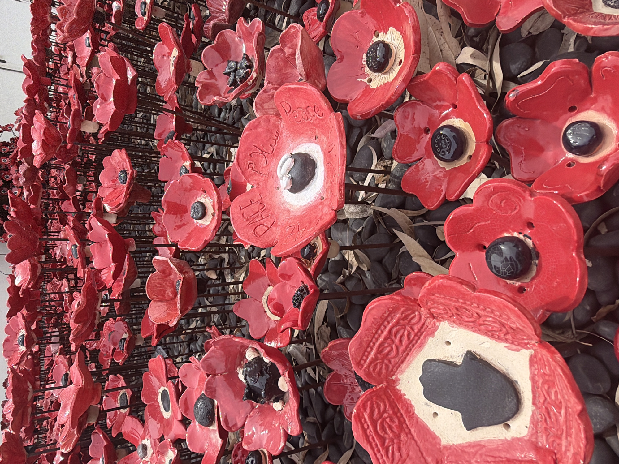 The image shows a field of ceramic poppies planted on iron rods. The poppies are red with black centers, and some have inscriptions, including the word "Peace" written in both English and Arabic. The poppies are densely packed, and small black stones cover the ground between them. Dry leaves are also visible amongst the stones. The setting is an outdoor display, likely a memorial or art installation. The image is taken at a low angle, emphasizing the depth and density of the poppy field. The location is Herzliya, Israel.