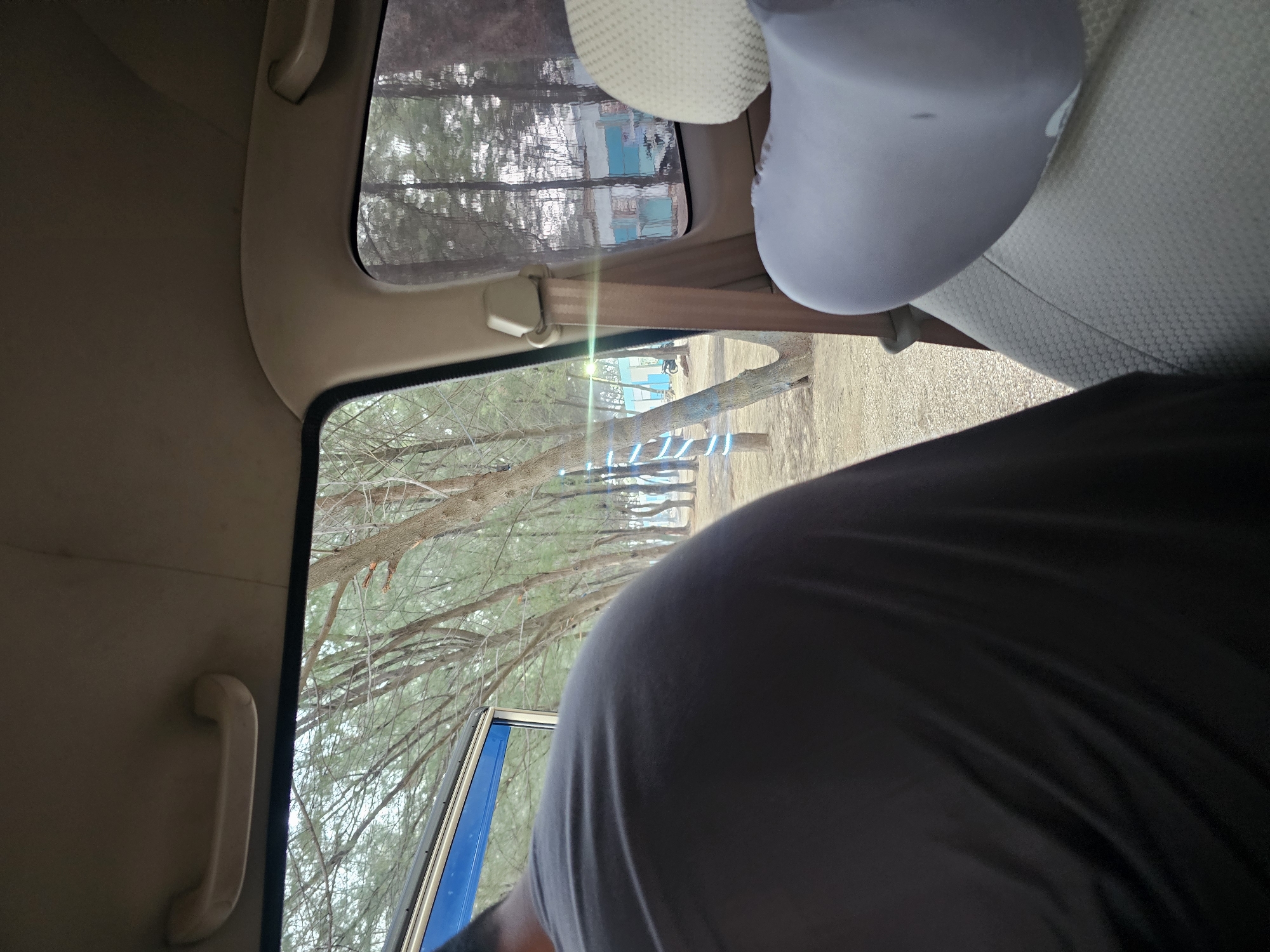 The image provides an interior view from a vehicle, looking out through the windows. In the foreground, the back of a person wearing a dark t-shirt is visible, occupying the left side of the frame. To the right, a light-colored car seat with a grey headrest is partially in view.
Through the windows, an outdoor scene is depicted. A sandy area with numerous trees is present, suggesting a natural or park-like setting. Some of the trees are decorated with blue lights wrapped around their trunks, possibly indicating a festive or artistic installation. Beyond the trees, a building with blue and white sections is visible. A motorcycle is parked near the building. The overall lighting suggests it is daytime, with overcast conditions or dusk.
The scene is described as being in the city of Jenu, Indonesia.