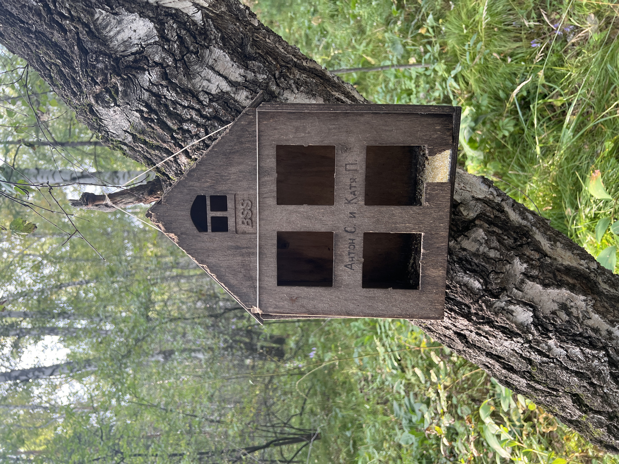 A wooden birdhouse, shaped like a house with a peaked roof and two windows, hangs from a tree trunk in a forest. The birdhouse has four square openings on its front, two on top and two on the bottom, and appears to contain birdseed. Inscriptions, "BSS" and "Антон С. и Катя П.", are visible on the birdhouse. The tree it is attached to has rough, textured bark. The background is a blur of green foliage and trees, suggesting a natural, wooded environment, likely a park or forest on the outskirts of Krasnoyarsk, Russia, given the context.